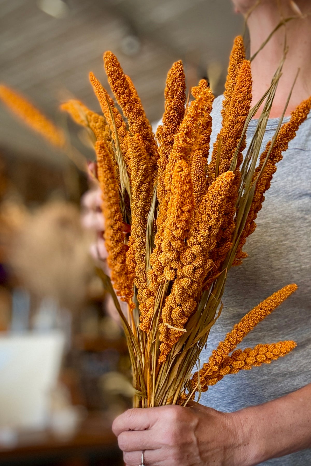 Setaria Italica Orange Color Preserved Bunch being held in hand with a blurred background ©Sprout Home