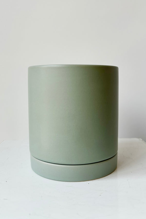 Ceramic, sage colored glazed cylinder planter with drainage hole and tray against grey background
