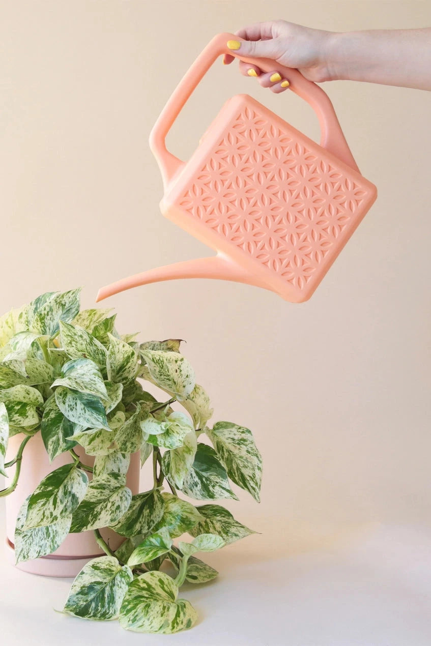 Peach Breeze Block watering can watering a Pothos by Jungle Club