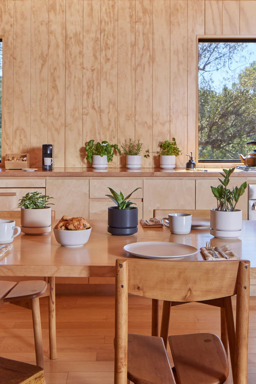 Dining area with wooden table and chairs, plants in Round Two planters, and a view of trees outside. ©Revival Ceramics
