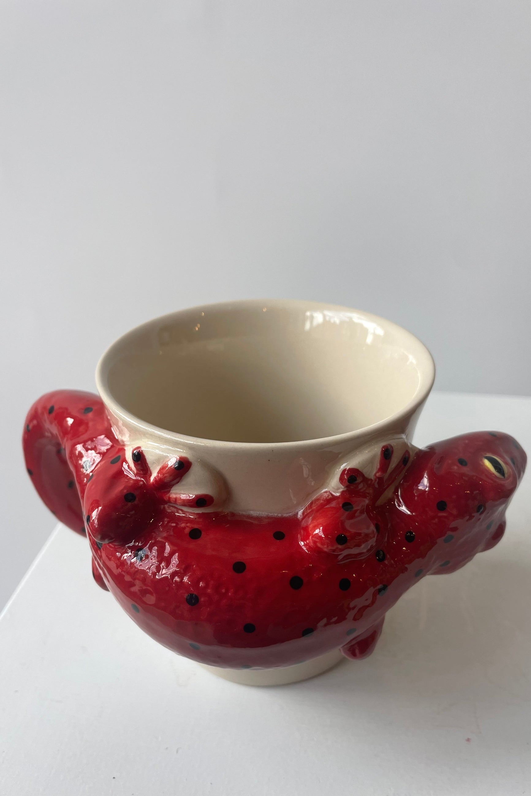 Photo of a white mug on a white table in a white room. A red salamander shapes the body and handle of the mug. The view is looking down into the mug.