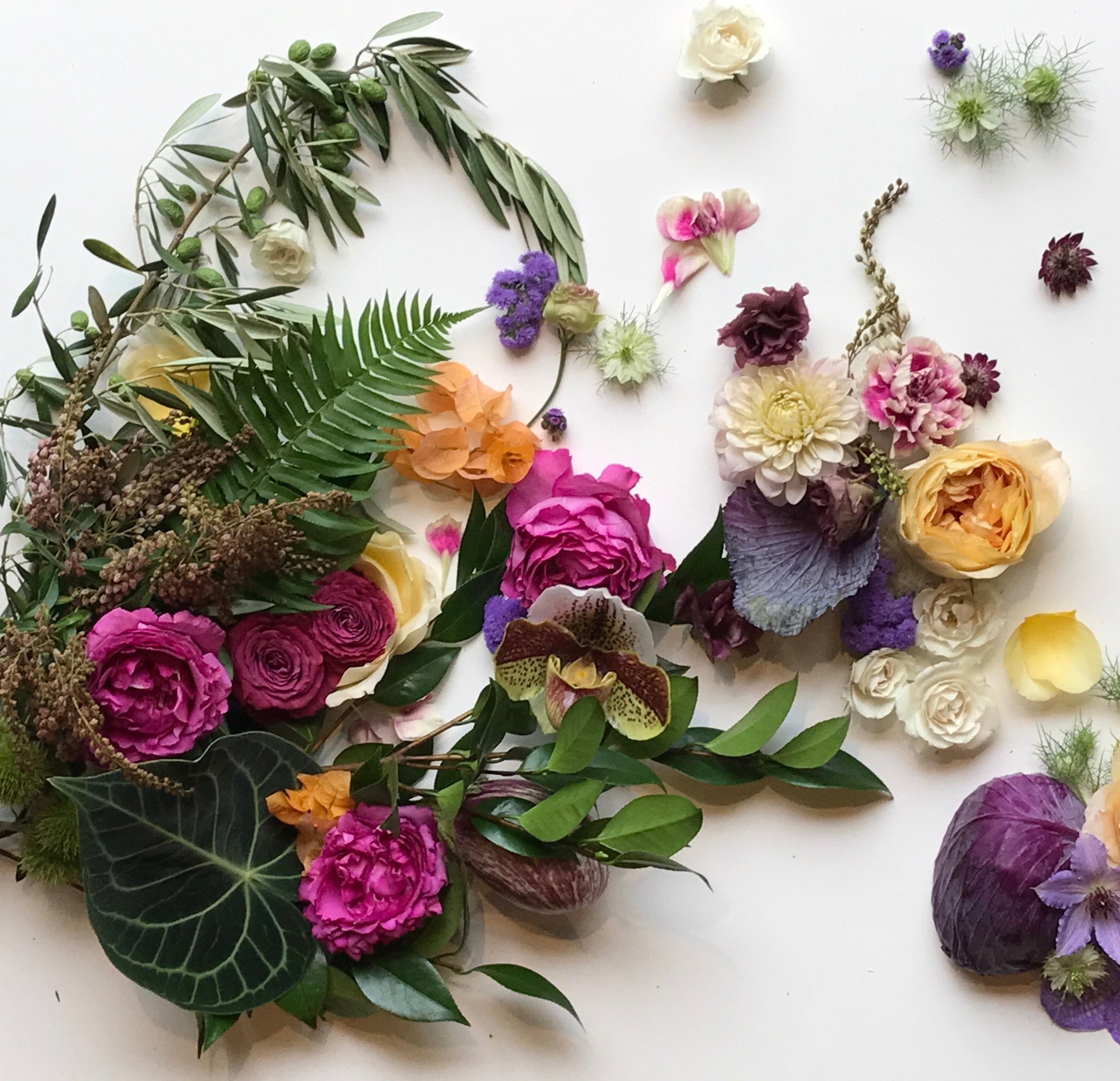 Various green foliage and flower heads strewn on an offsite background at Sprout HOme