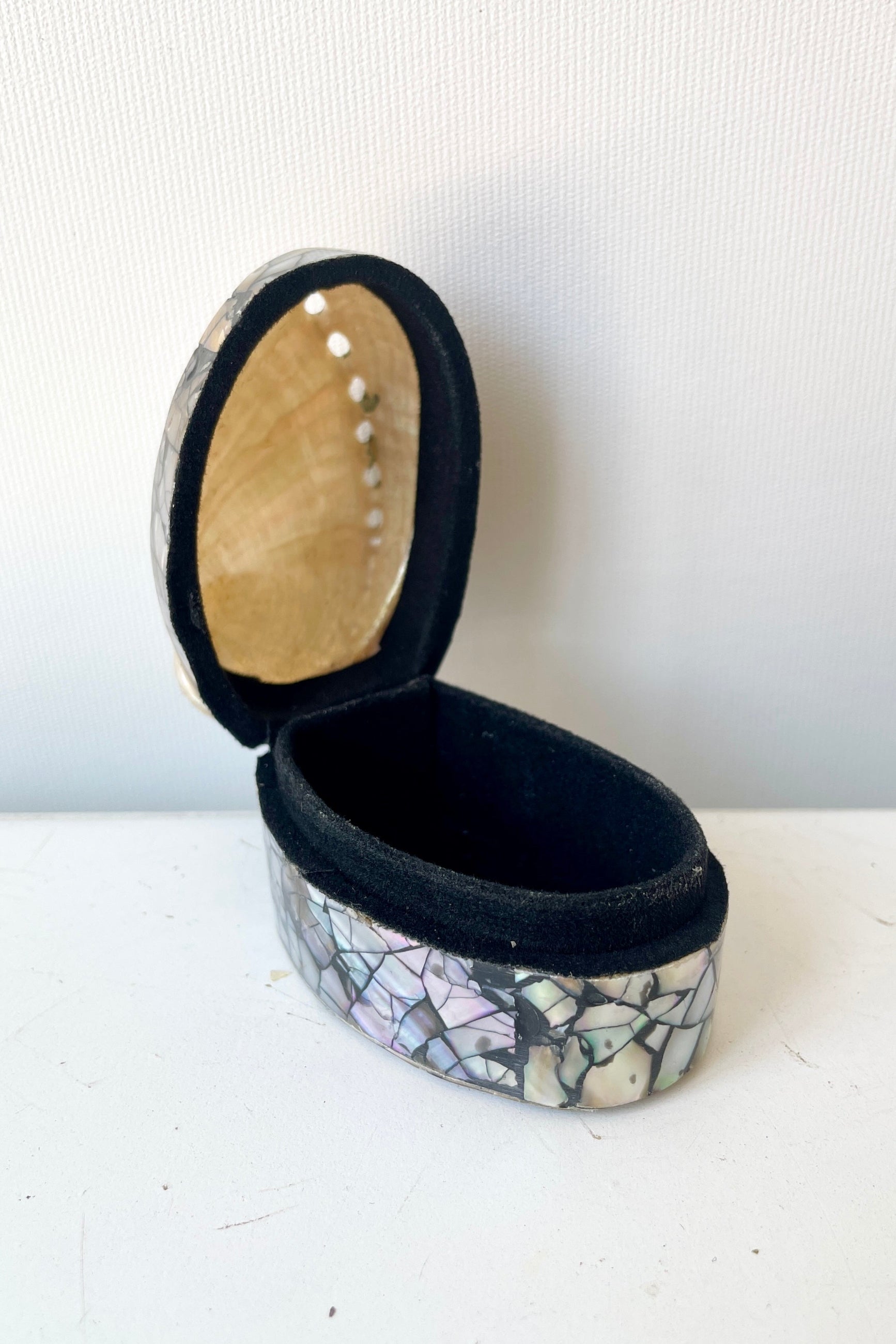 Shell trinket box small shown with the shell top opened in to the black velvet base. ©Sprout Home