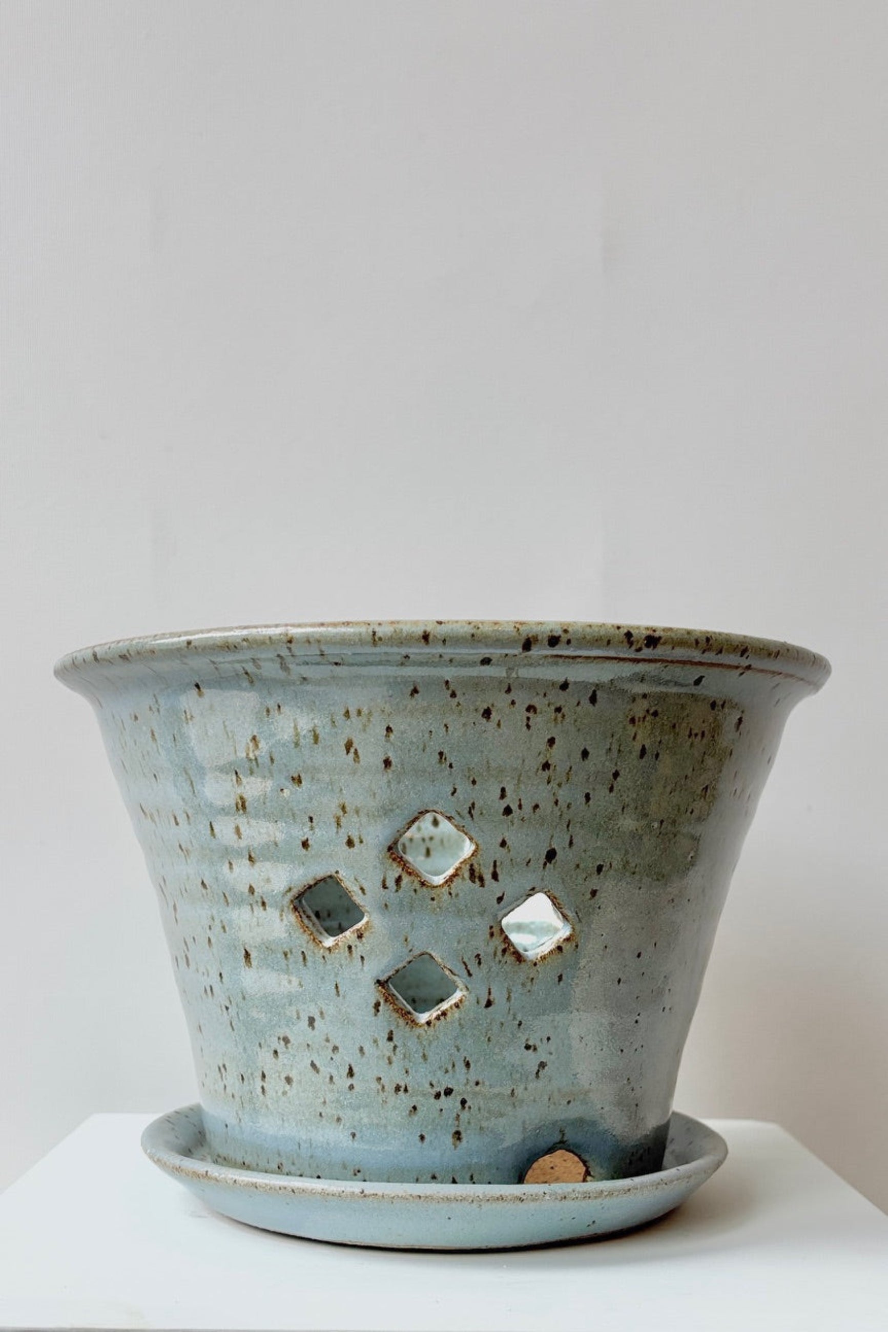 Glazed conflower 7" orchid pot against a white wall ©sprout home