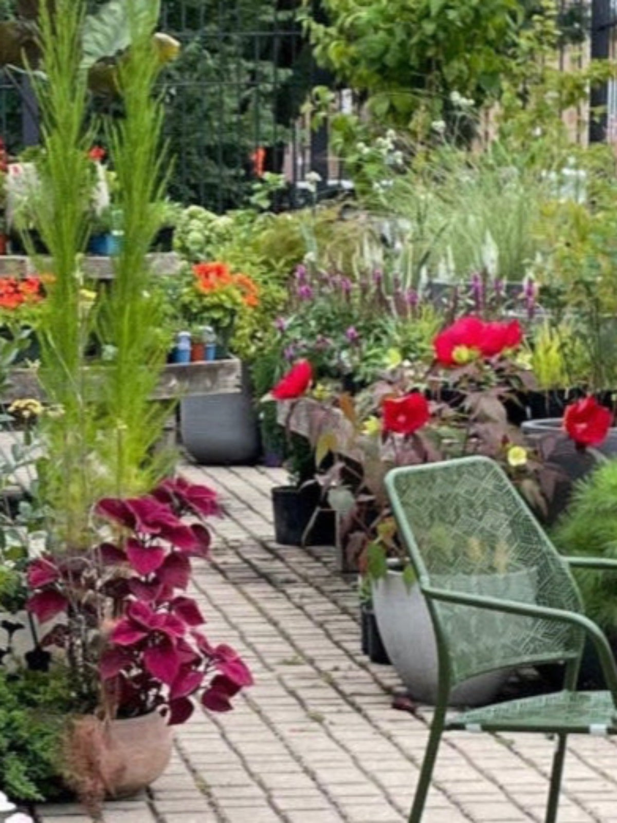 The outdoor garden at SPROUT HOME in west town of Chicago during the middle of the summer with various blooming plants and a set of green chairs and table.
