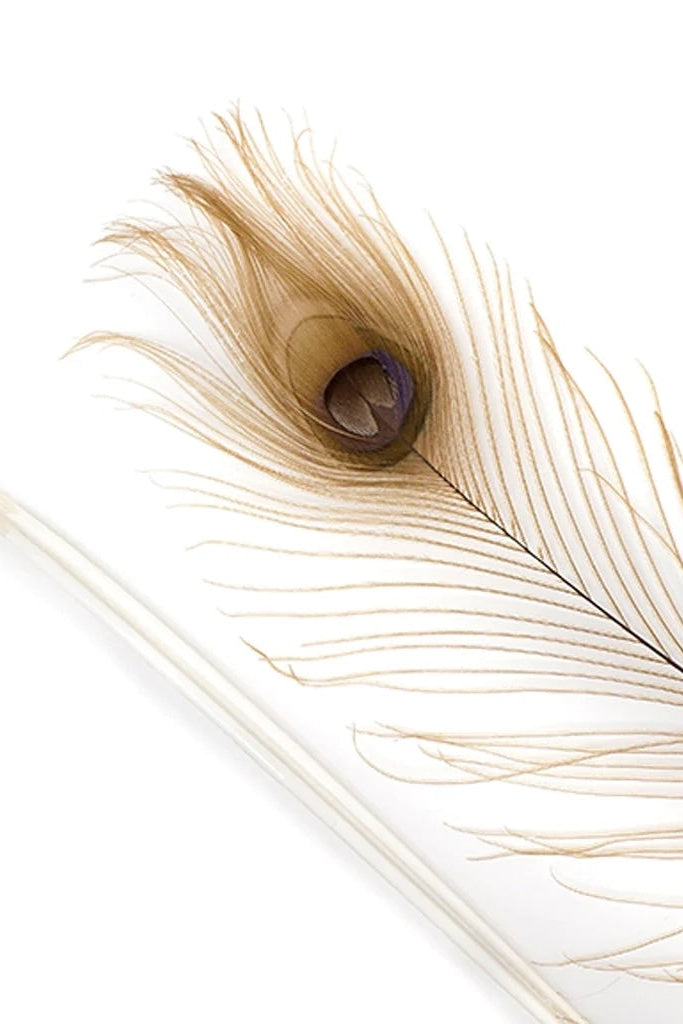 Photo of golden peacock feathers with a white background ©Zucker Feather Products