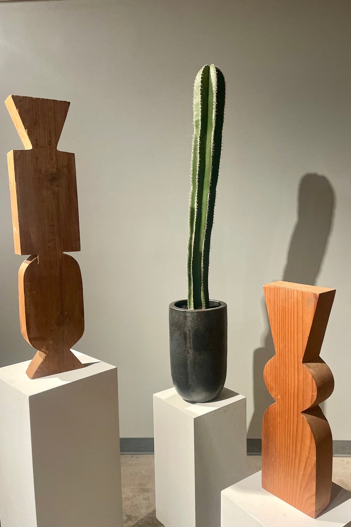 A Pachycereus fence post cactus in a tall black pot surrounded by wooden sculpture as an Installation view of VERDE at Secrist Beach SATELLITE ©Sprout Home