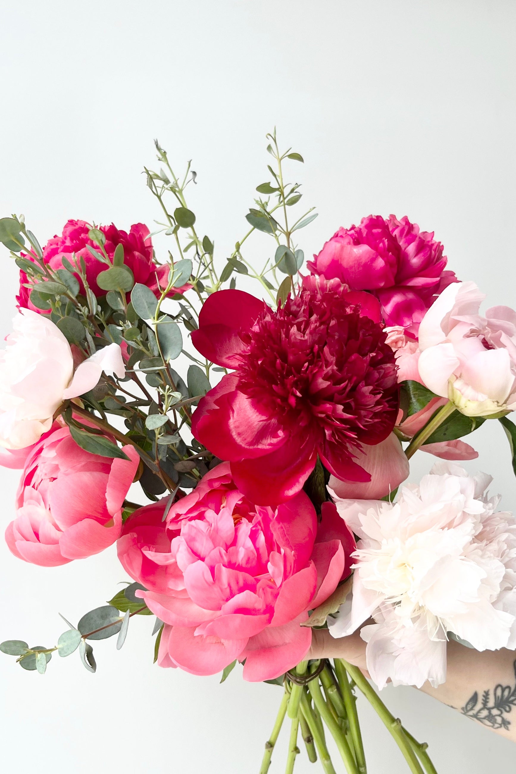 Bouquet of pink and white Paeonia flowers with greenery on a light background ©Sprout Home #size_$130