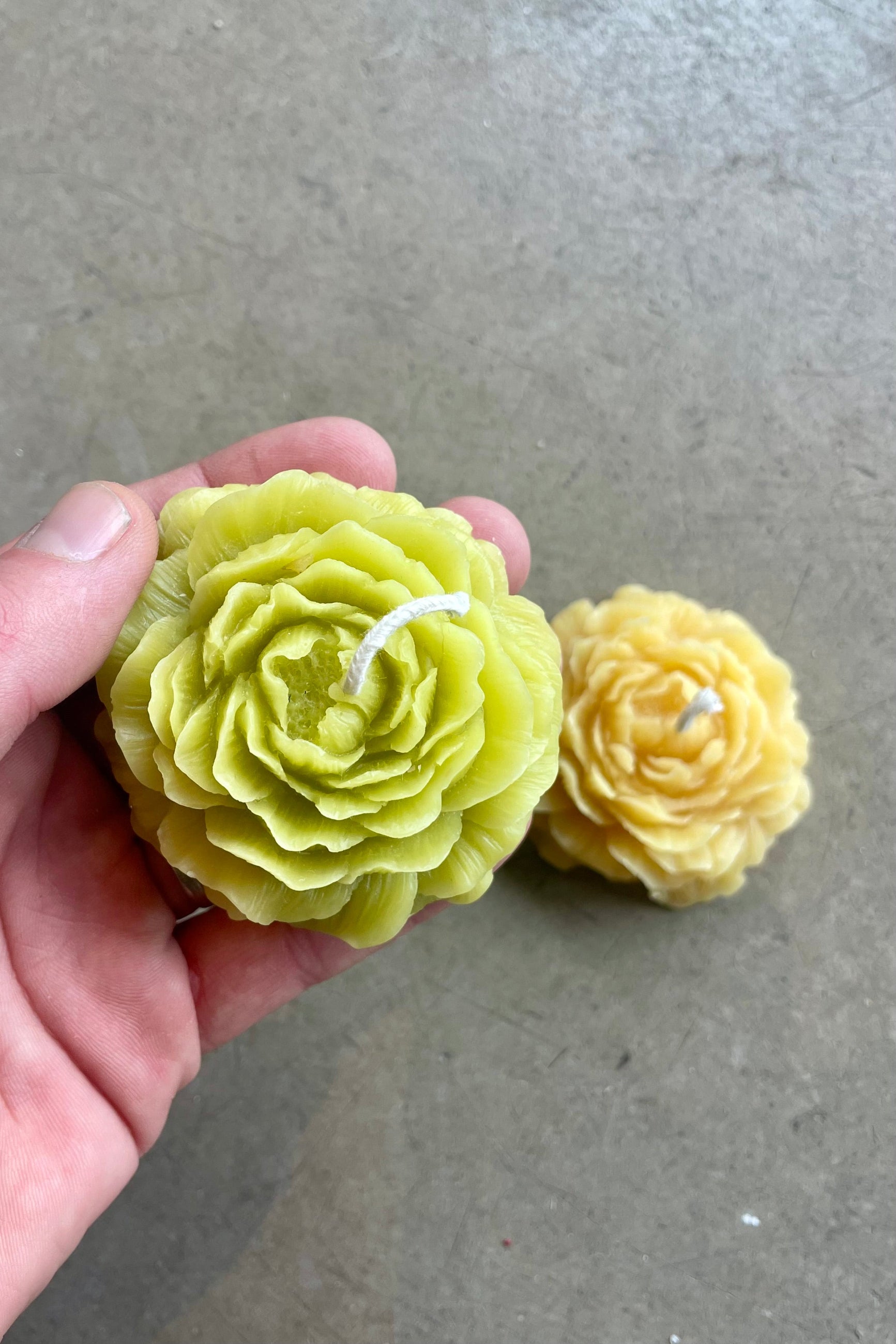 A hand holds a green candle shaped like a flower ©Sprout Home