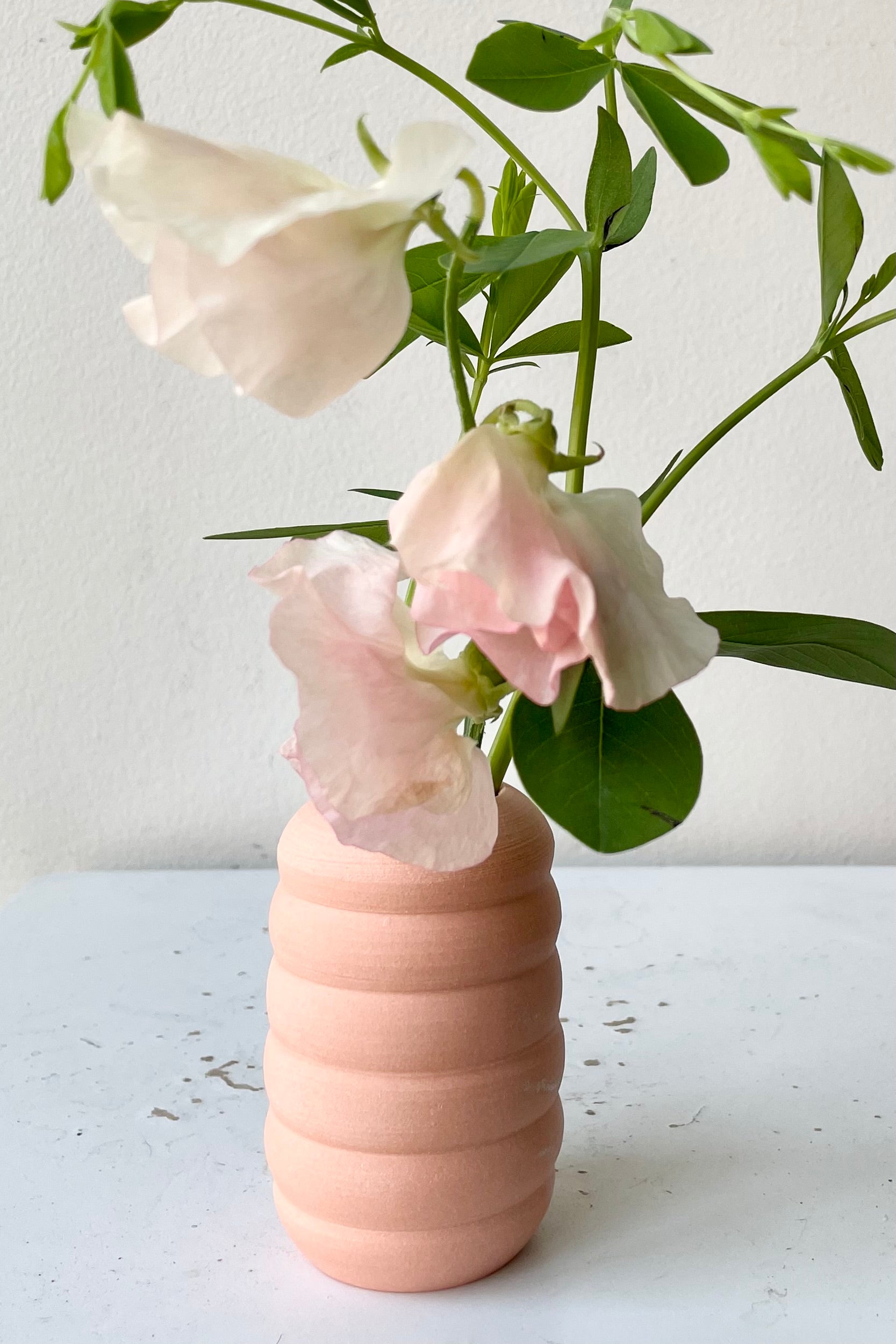 The Petite Ribbed Peach Vase with a spring of floral and green against a white wall. ©Sprout Home