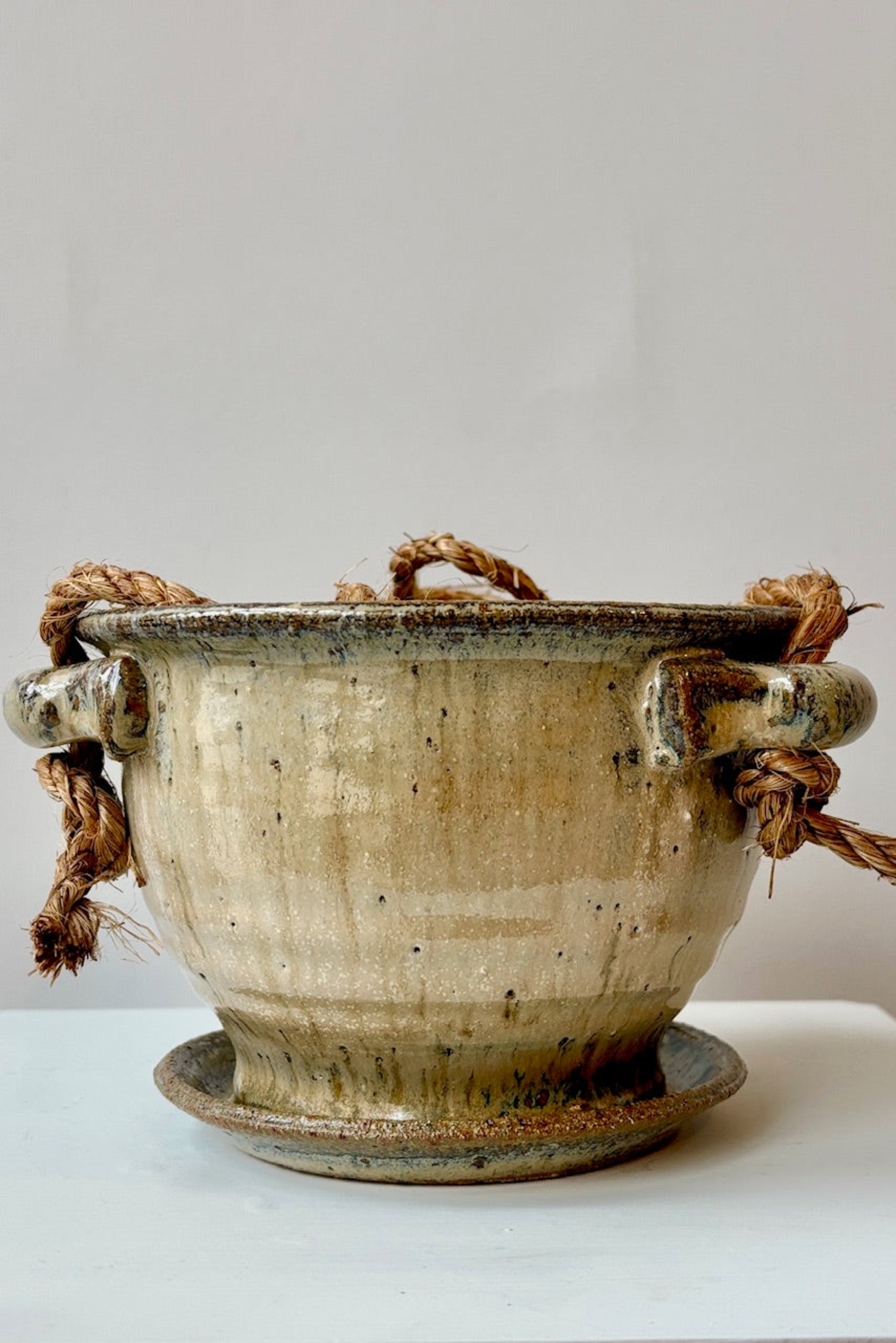 Ivory and Iron 4" glazed planter displayed against a white wall ©Sprout Home