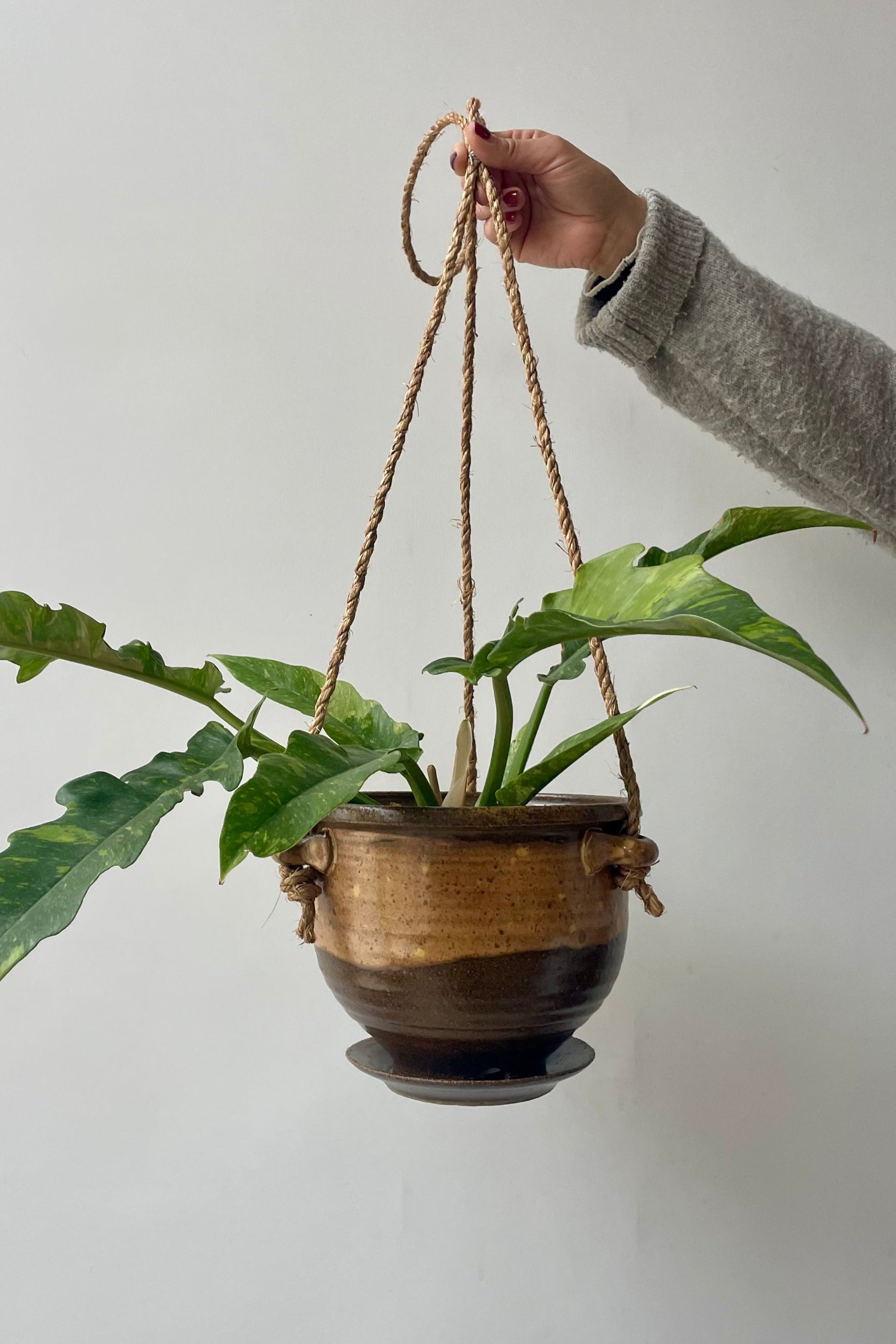 A brown and tan planter with jute cord and green plant hangs in front of a white wall ©Sprout Home