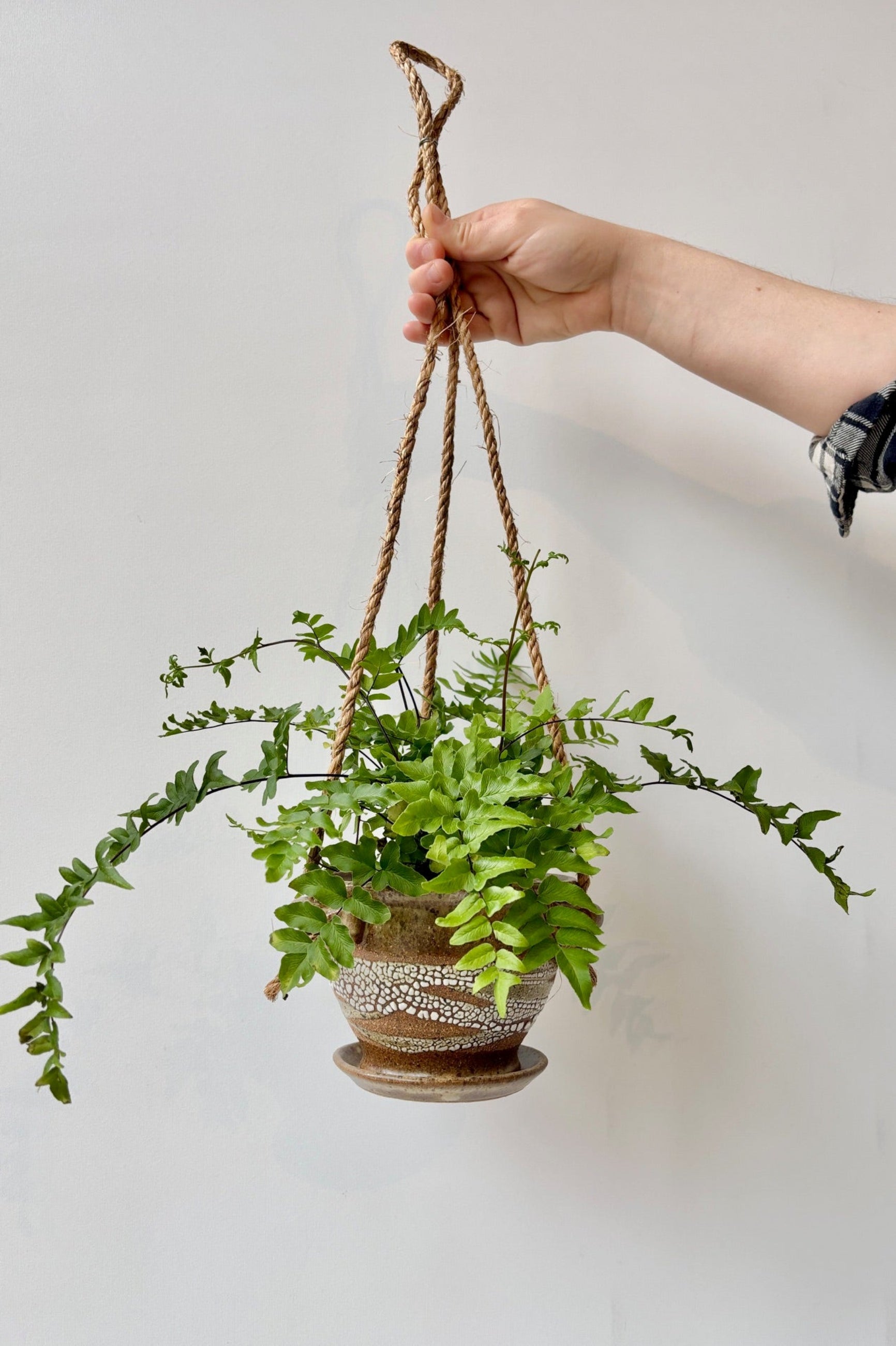 Glazed super crackle 4" hanging pot displayed with plant held against a white wall ©Sprout Home