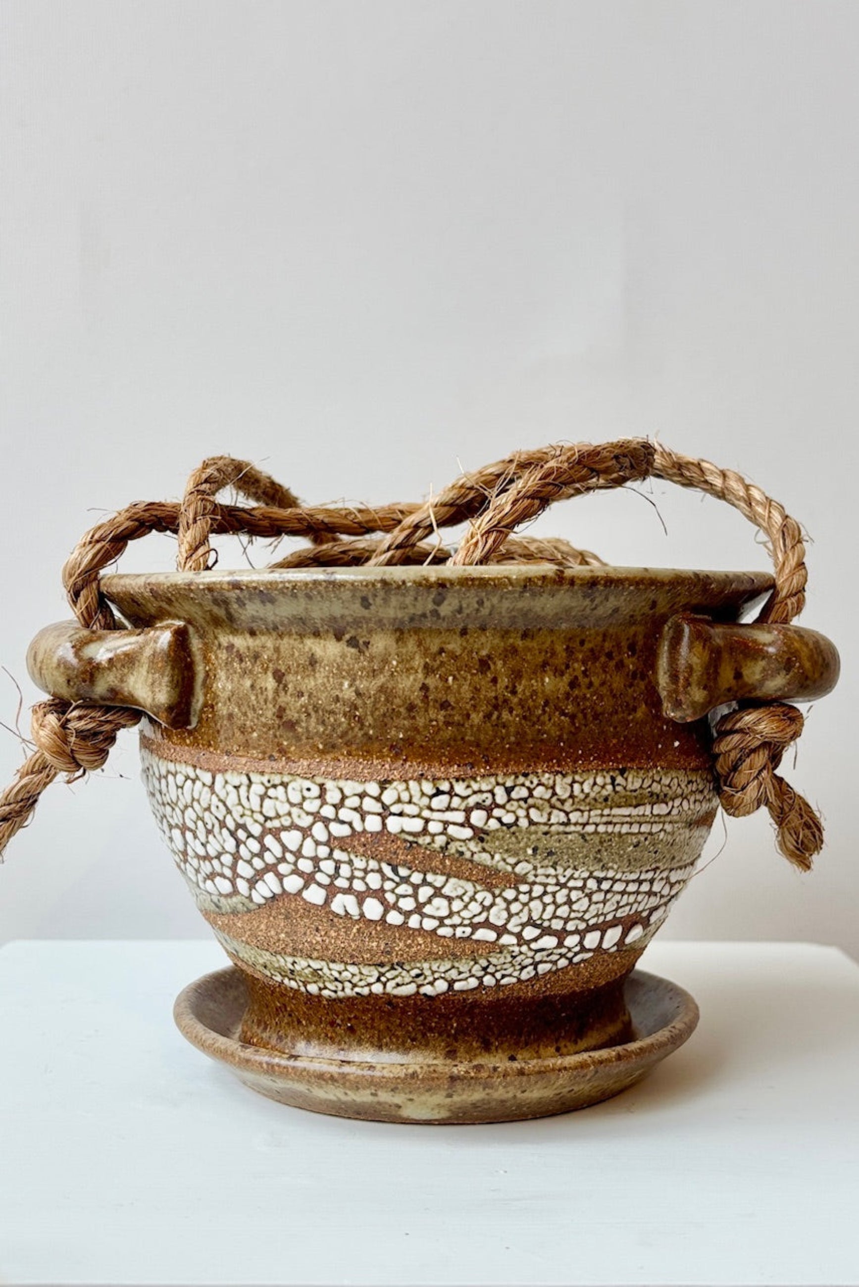 Glazed super crackle 4" hanging pot against a white wall ©Sprout Home