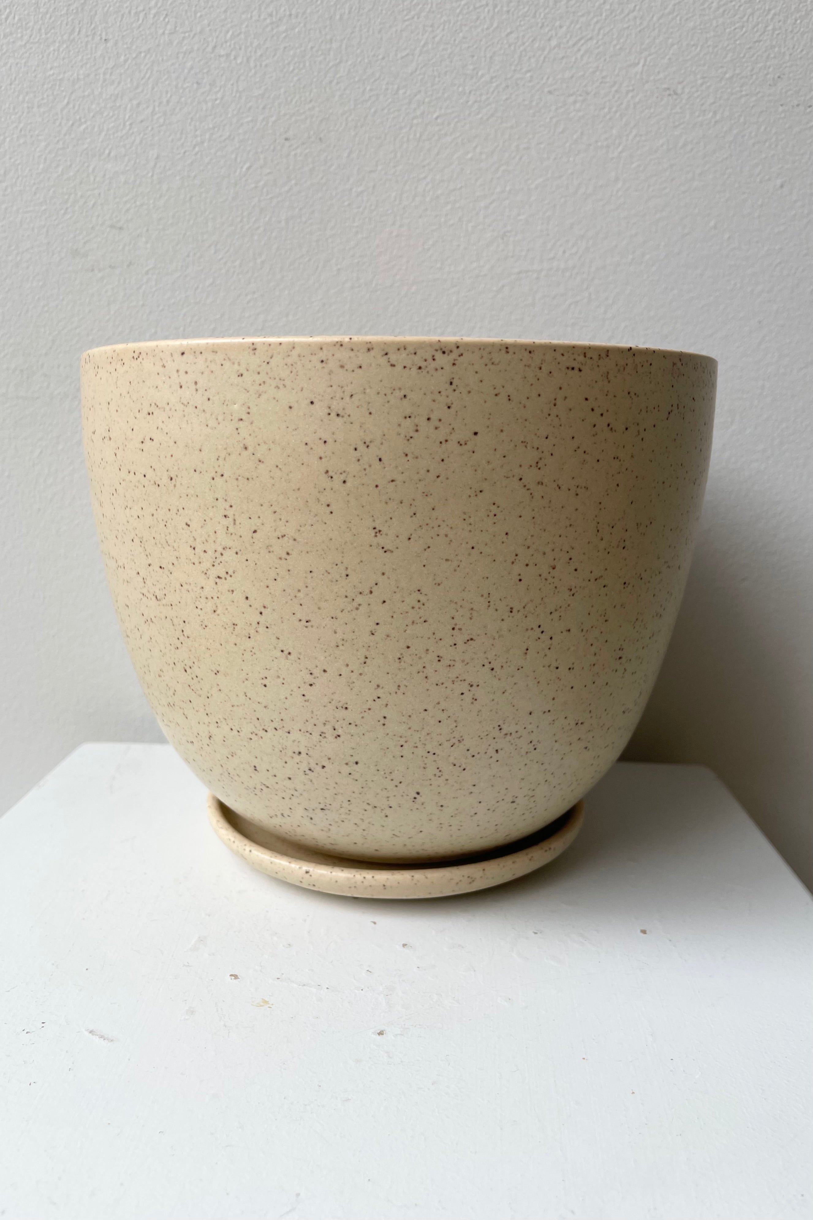 The large butter speckle tabletop planter against a white wall photographed from the side.
