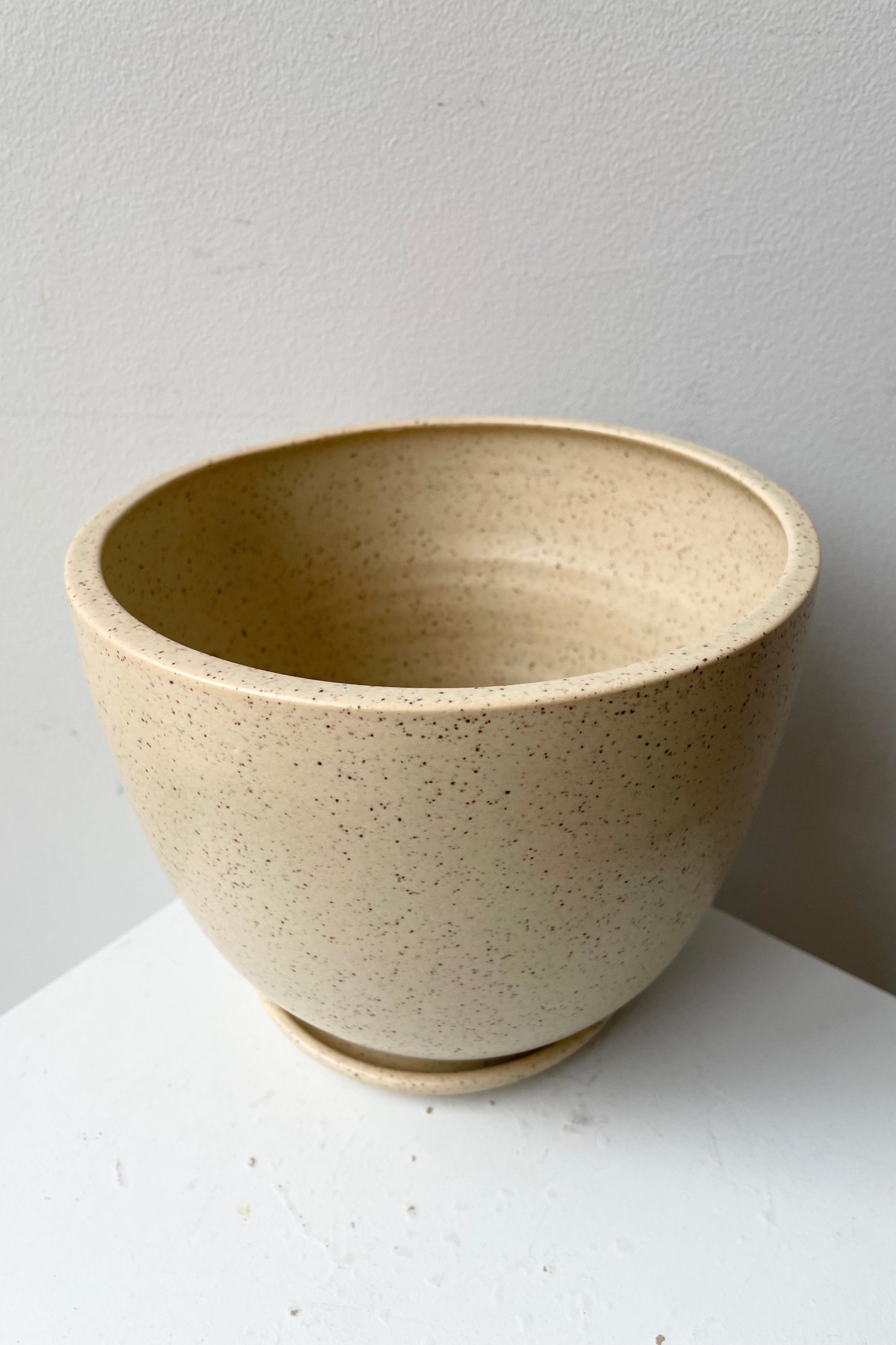 Speckle Butter large tabletop planter and saucer at Sprout Home seen from the top side looking in. ©Sprout Home