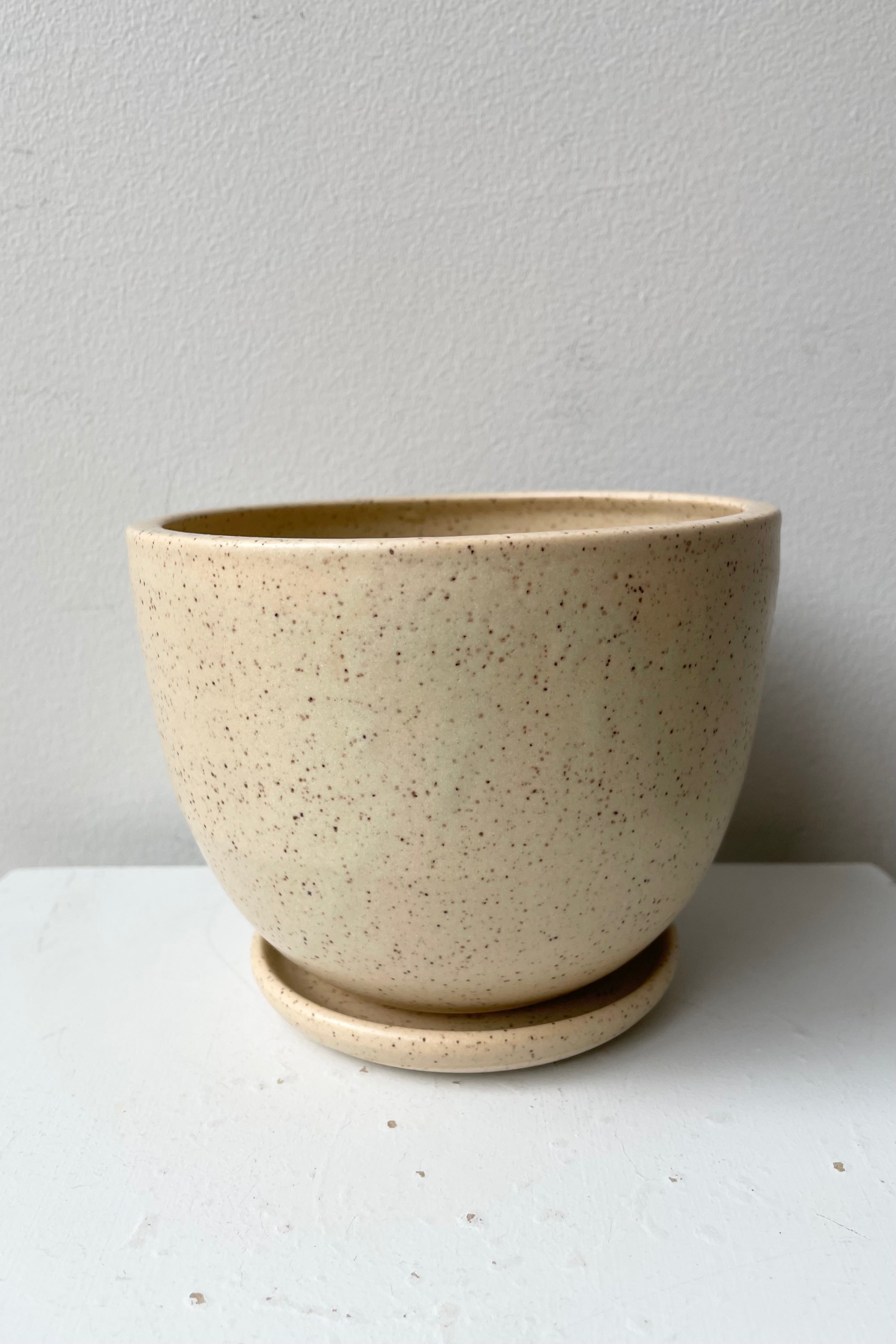 Tabletop planter and saucer in butter speckle against a white wall shown from the side.