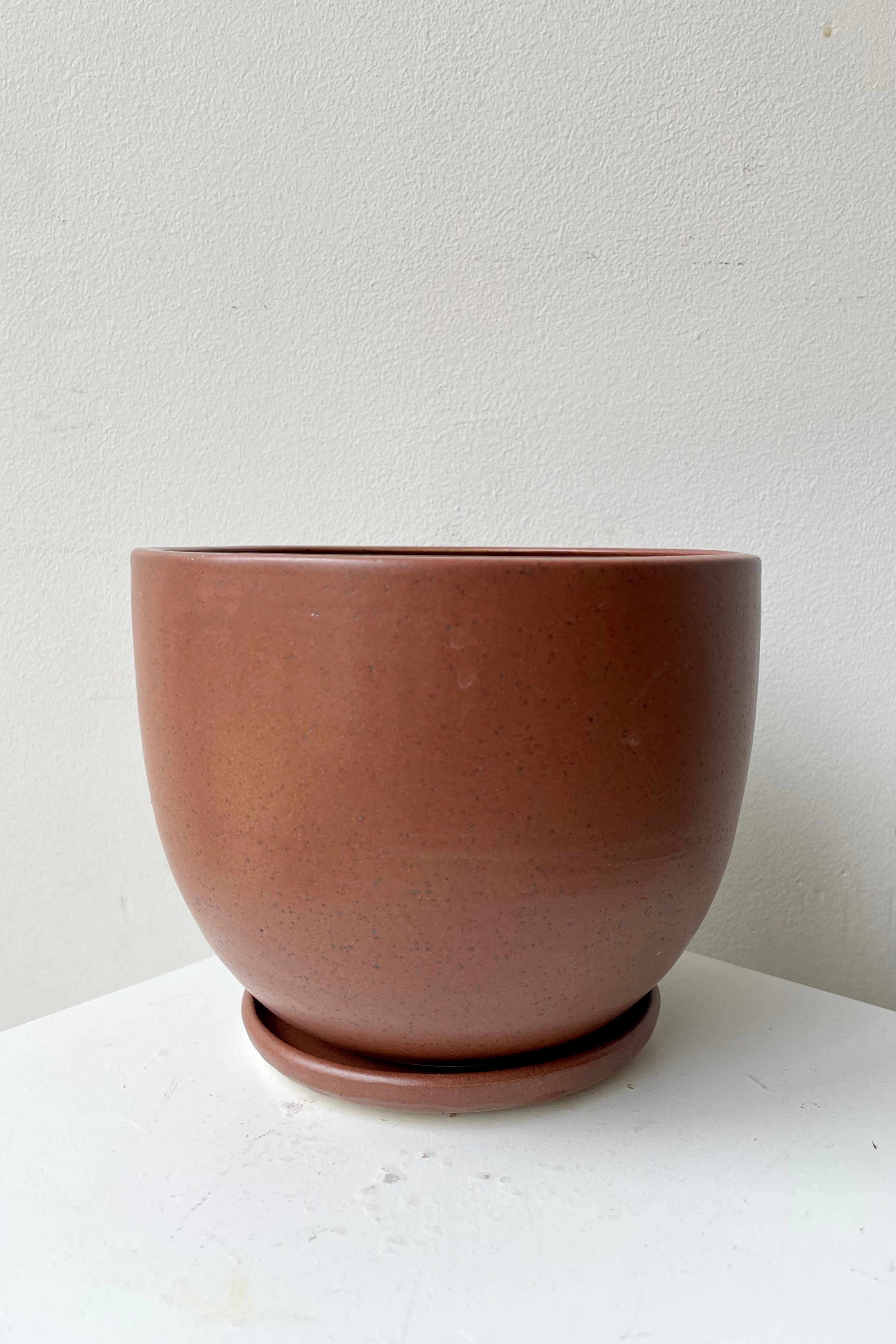 Tabletop Planter & Saucer in Chocolate Speckle large against a white wall.