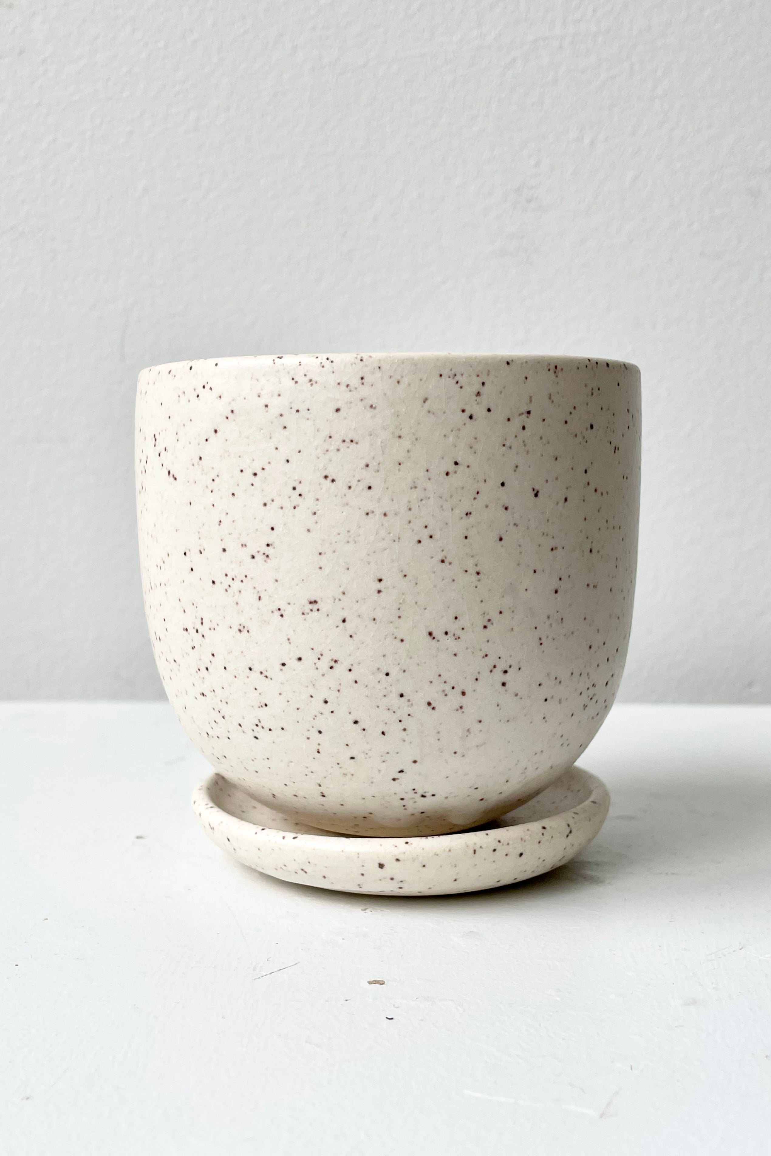 The Cream Speckle Tabletop planter and saucer shown from the side against a white wall.