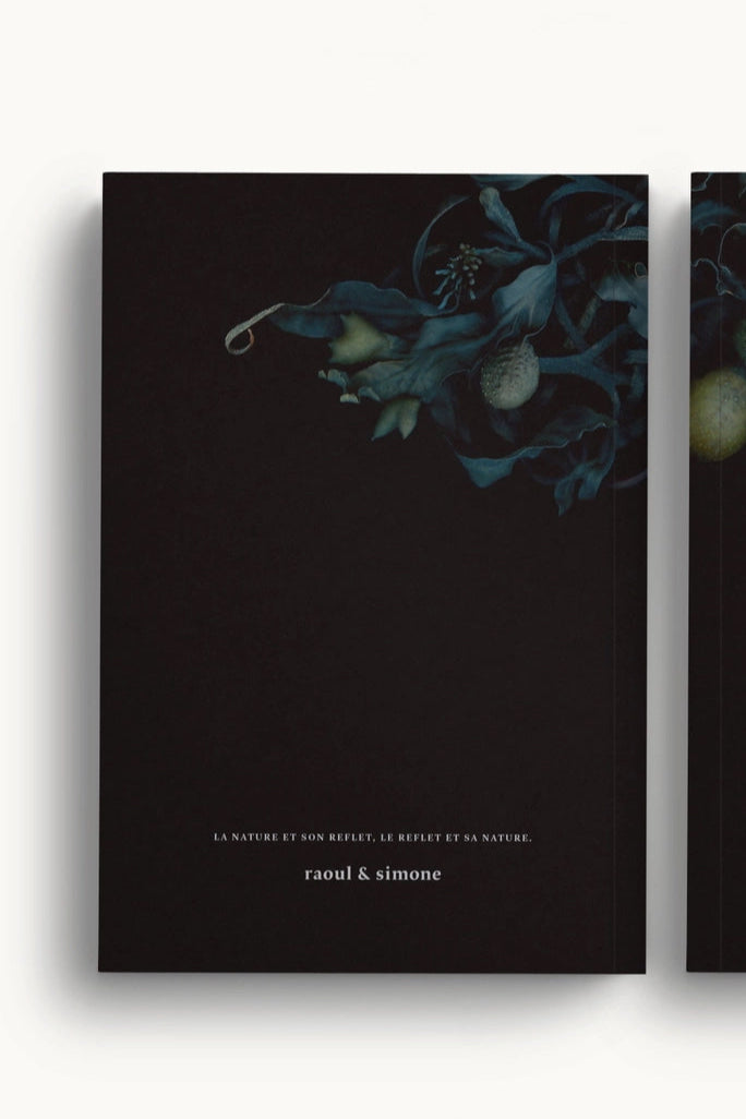 Back cover of the Fucus Vesiculosus notebook ©Raoul & Simone
