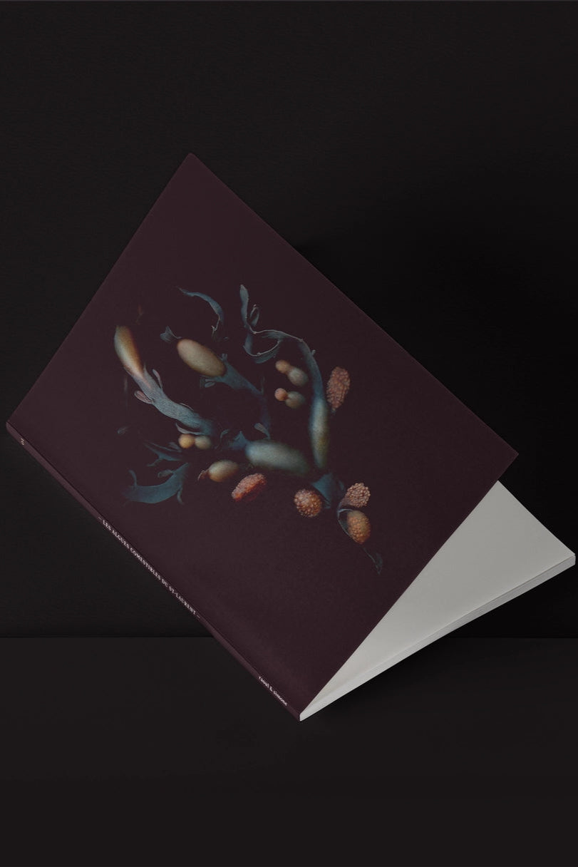 The Rockweed mini notebook ©Raoul & Simone