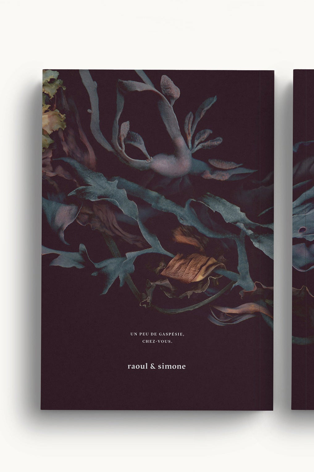 The back cover of Couronne Du St-Laurent notebook ©Raoul & Simone