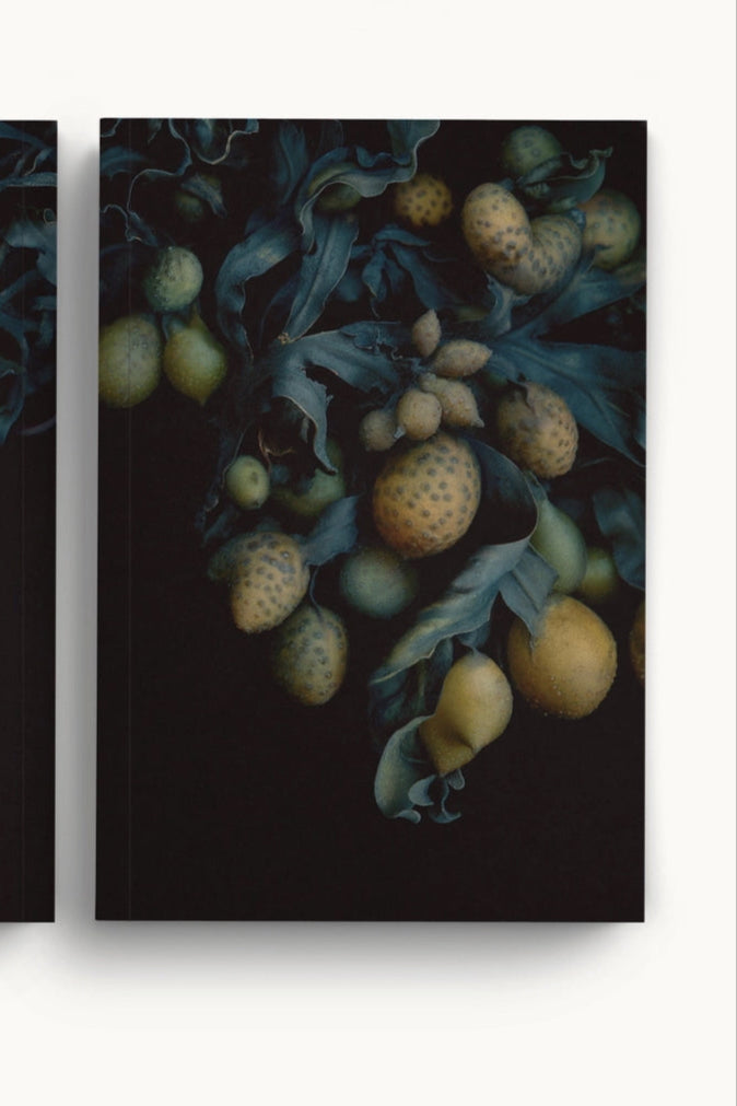Front cover of the Fucus Vesiculosus notebook ©Raoul & Simone