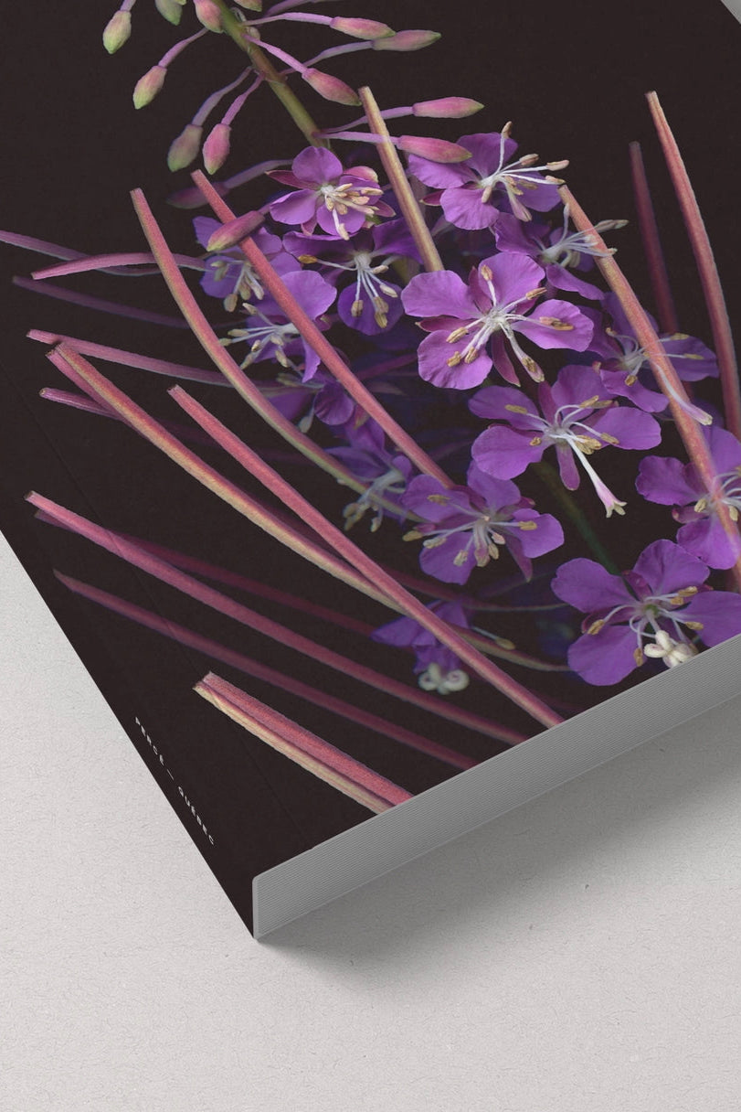 corner detail of the L’Épilobe notebook ©Raoul & Simone