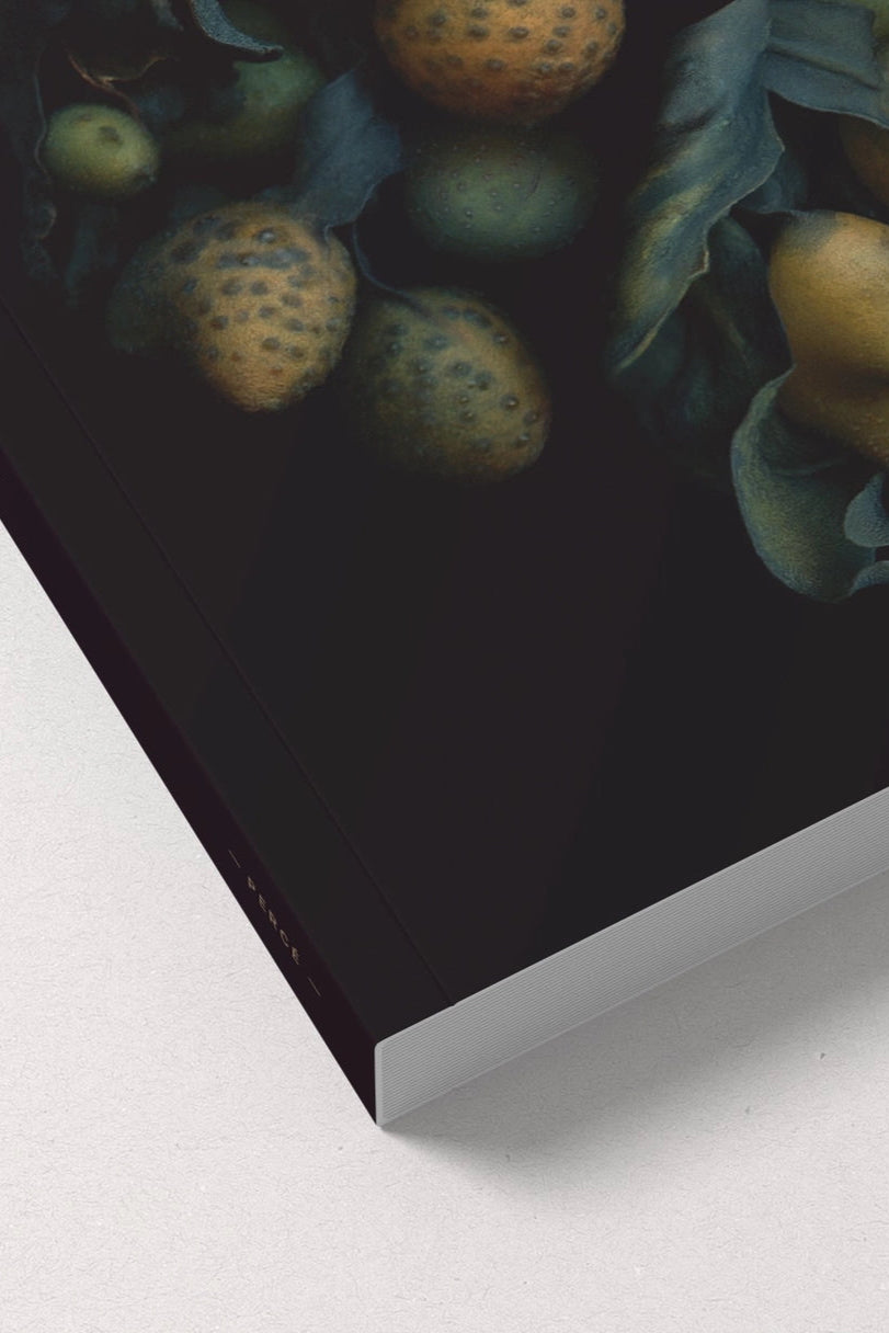Detail corner shot of the Fucus Vesiculosus notebook ©Raoul & Simone