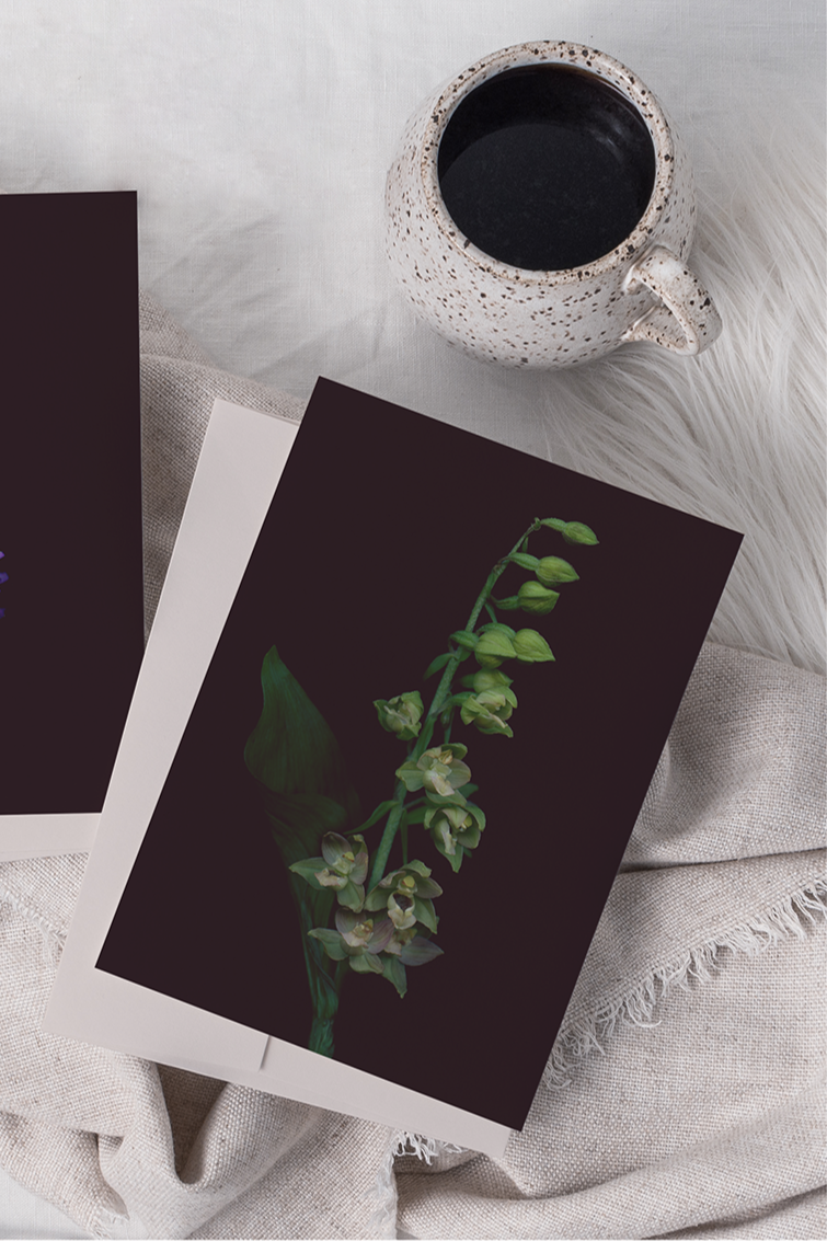 The Broad-Leaved Helleborine card sitting on a linen covered surface ©Raoul & Simone
