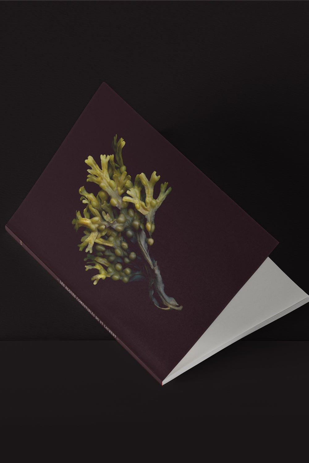 Varich mini notebook ©Raoul & Simone
