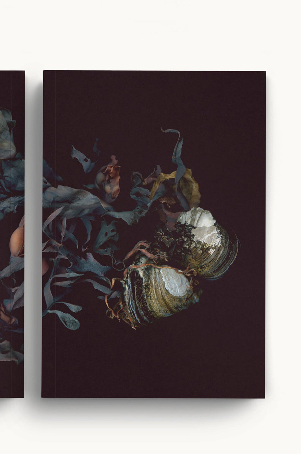 The front cover of Les Jumelles De L'anse notebook ©Raoul & Simone
