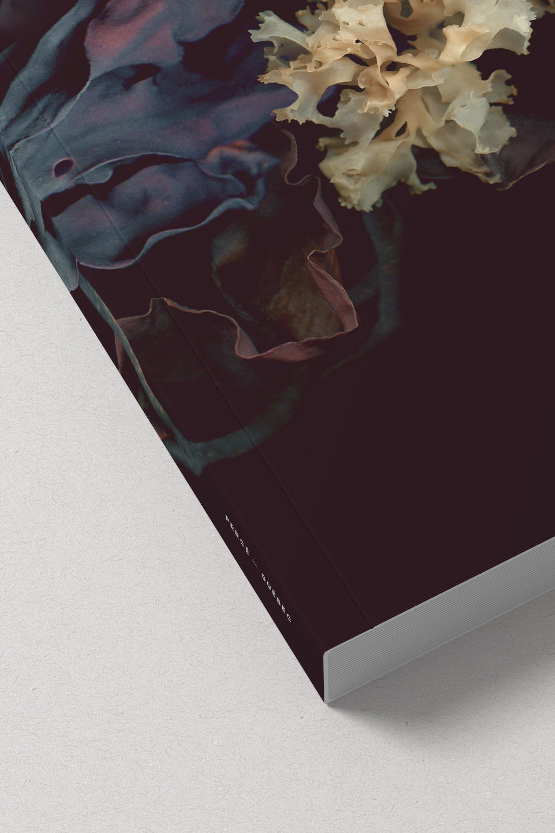 corner detail of Couronne Du St-Laurent notebook ©Raoul & Simone