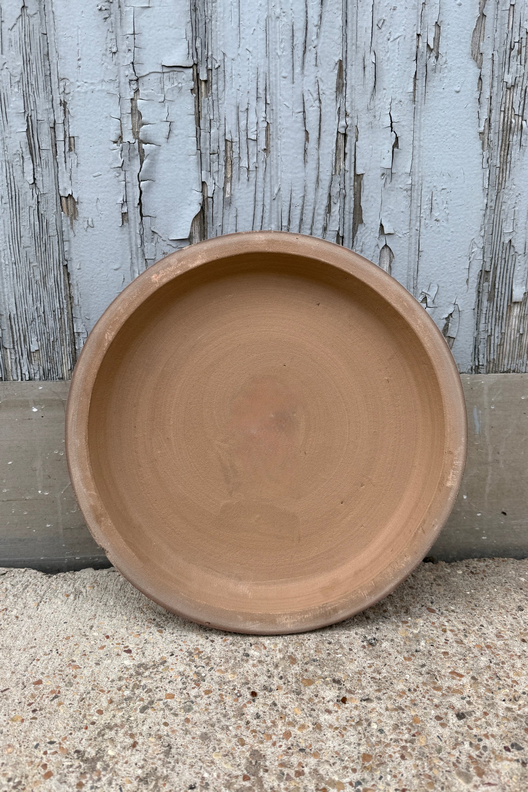Terracotta saucer showing the top inside on a concrete surface with a rustic wooden background ©Sprout Home