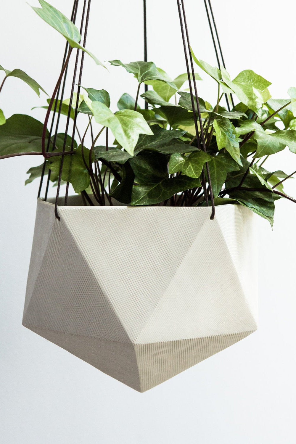 Linea Hanging Lines planter by Tandem Ceramics with an Ivy plant inside.