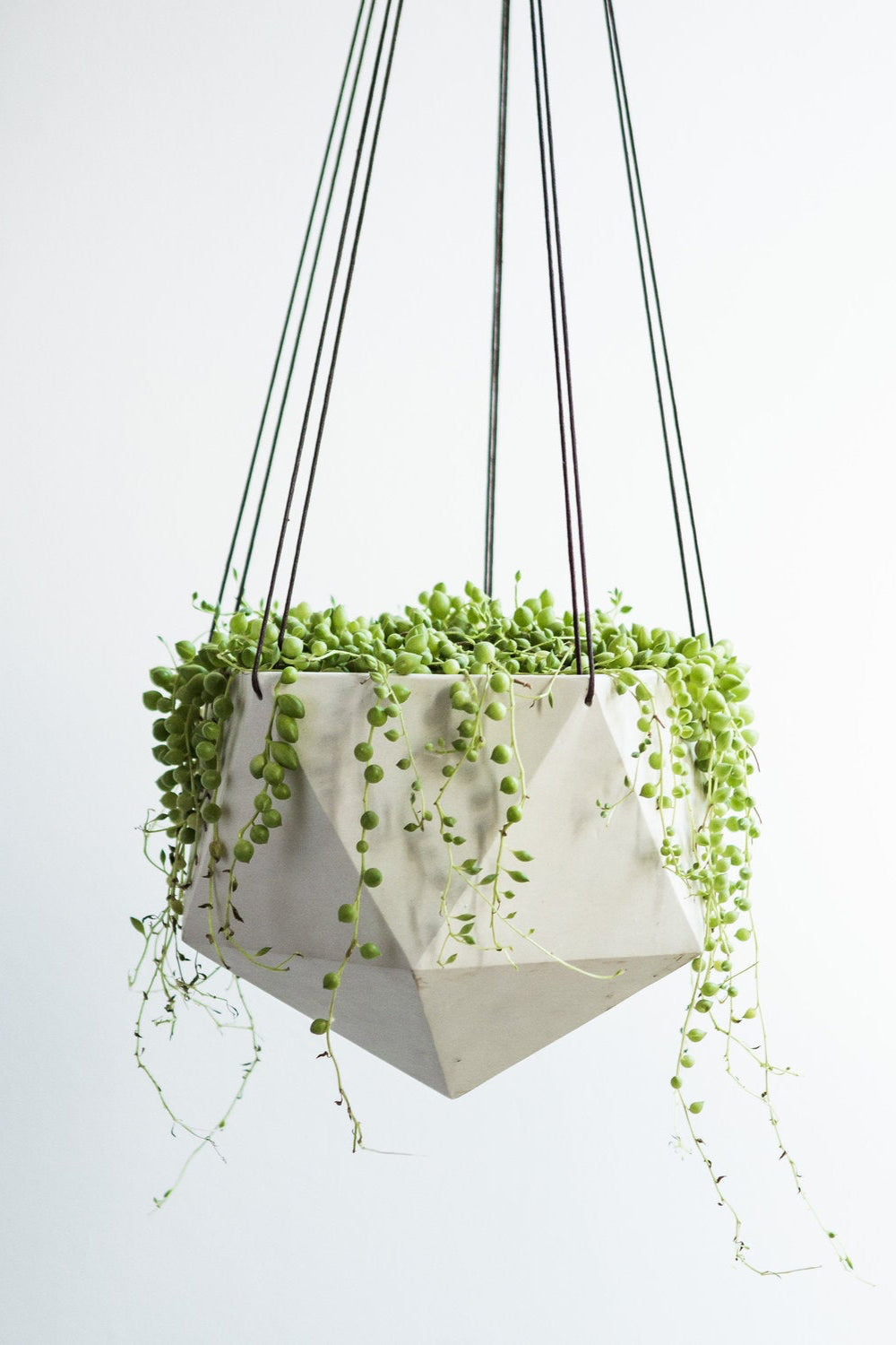 Linea Hanging Lines planter by Tandem Ceramics with a string of pearls plant inside.