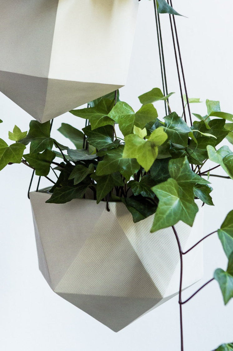 Linda Carved Lines Planter with an ivy inside by Tandem Ceramics