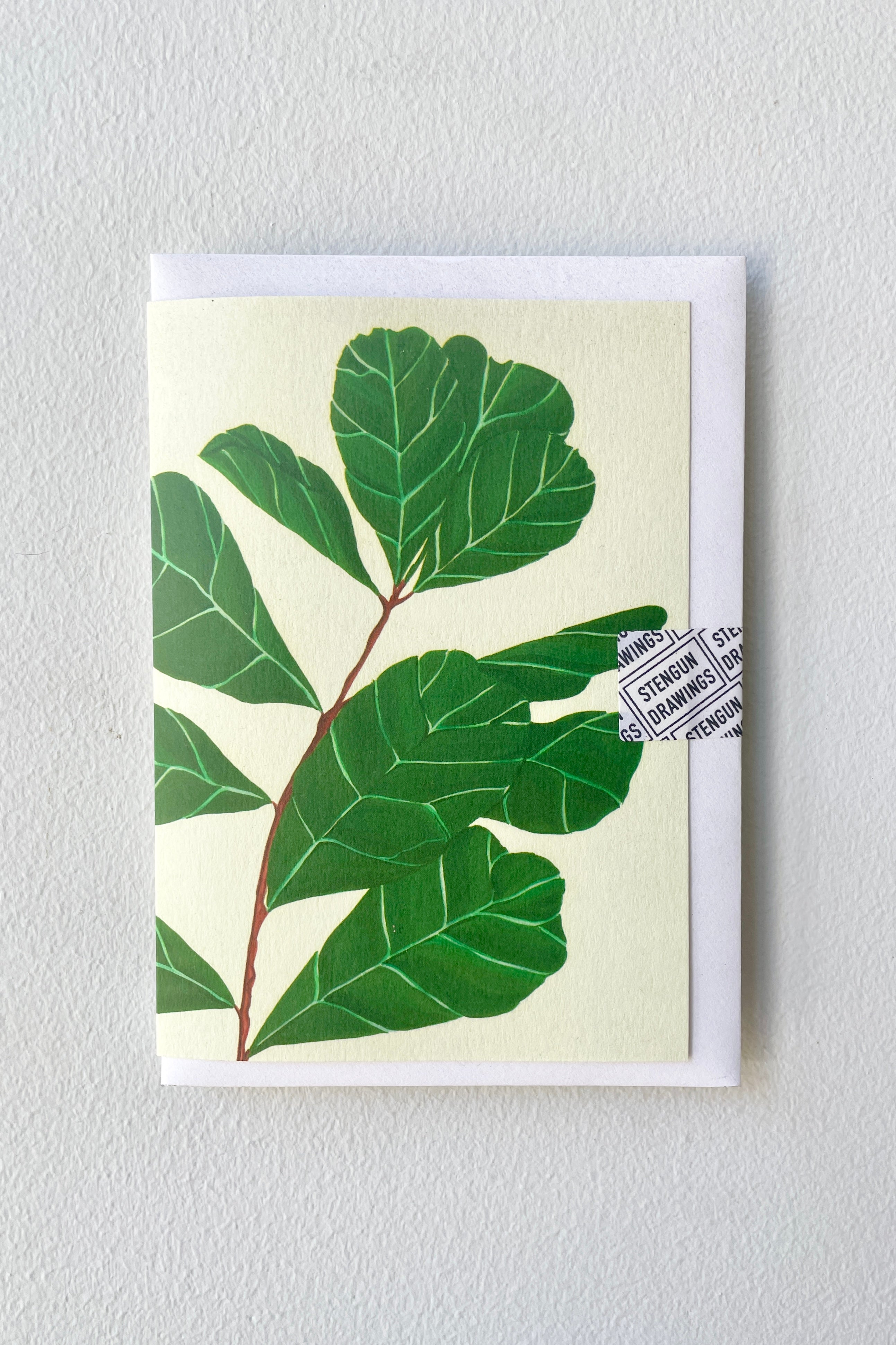 The Stengun Lyrata greeting card against a white wall.