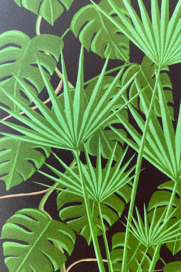 Detail up lcose shot of thee green foliage and black background of the Stengun Lost Glasshouse Greeting card. 
