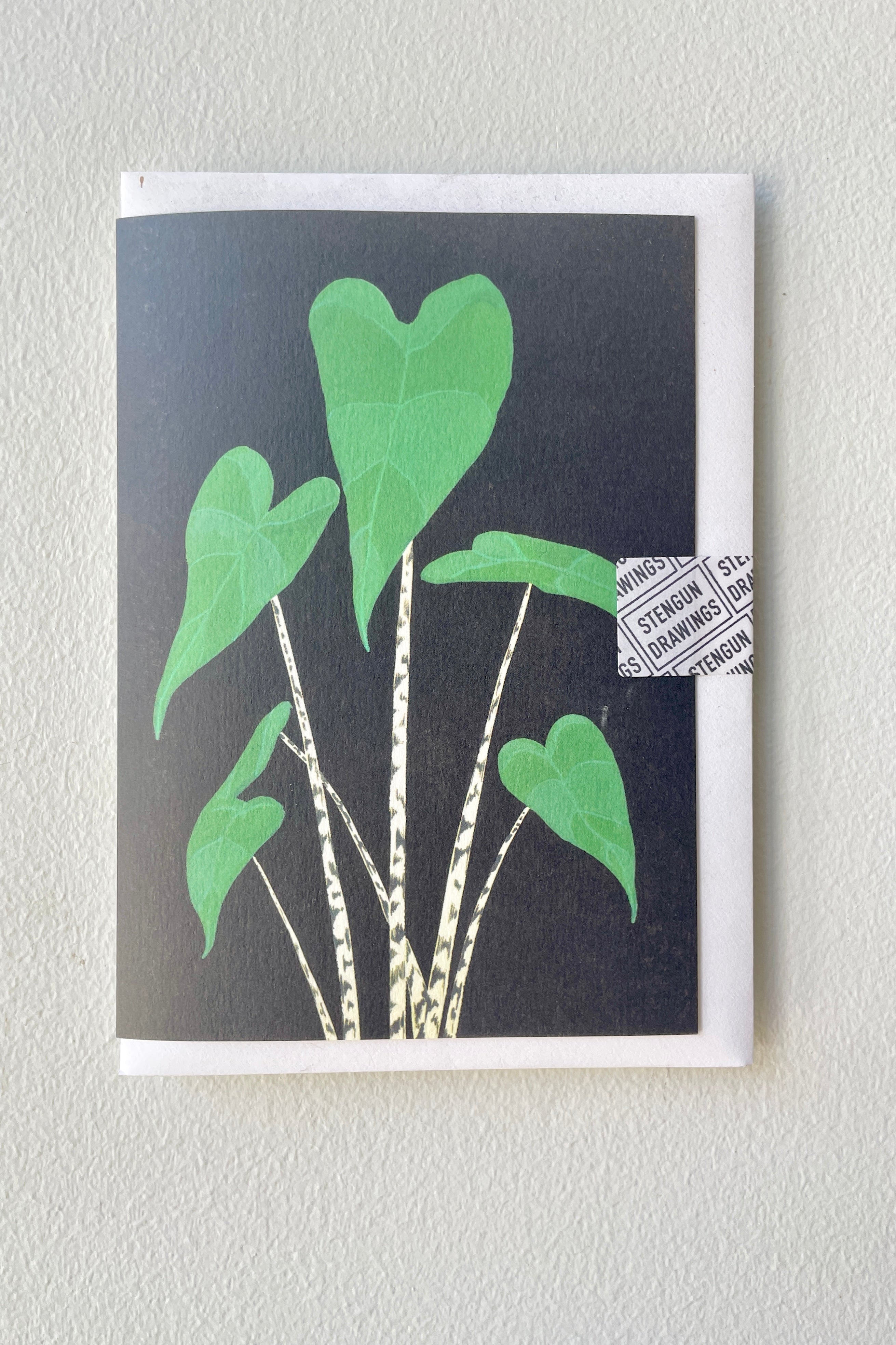 A Stengun Alocasia Zebrina greeting card against a white wall.