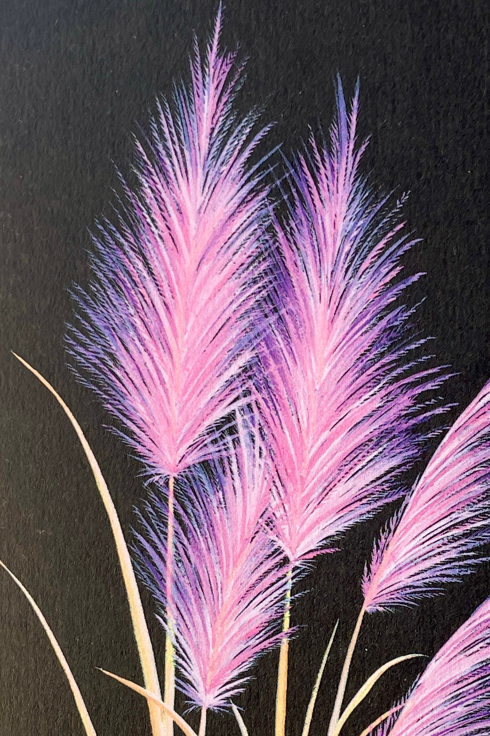 Detail of the pink pampas greeting card by Stengun at Sprout Home