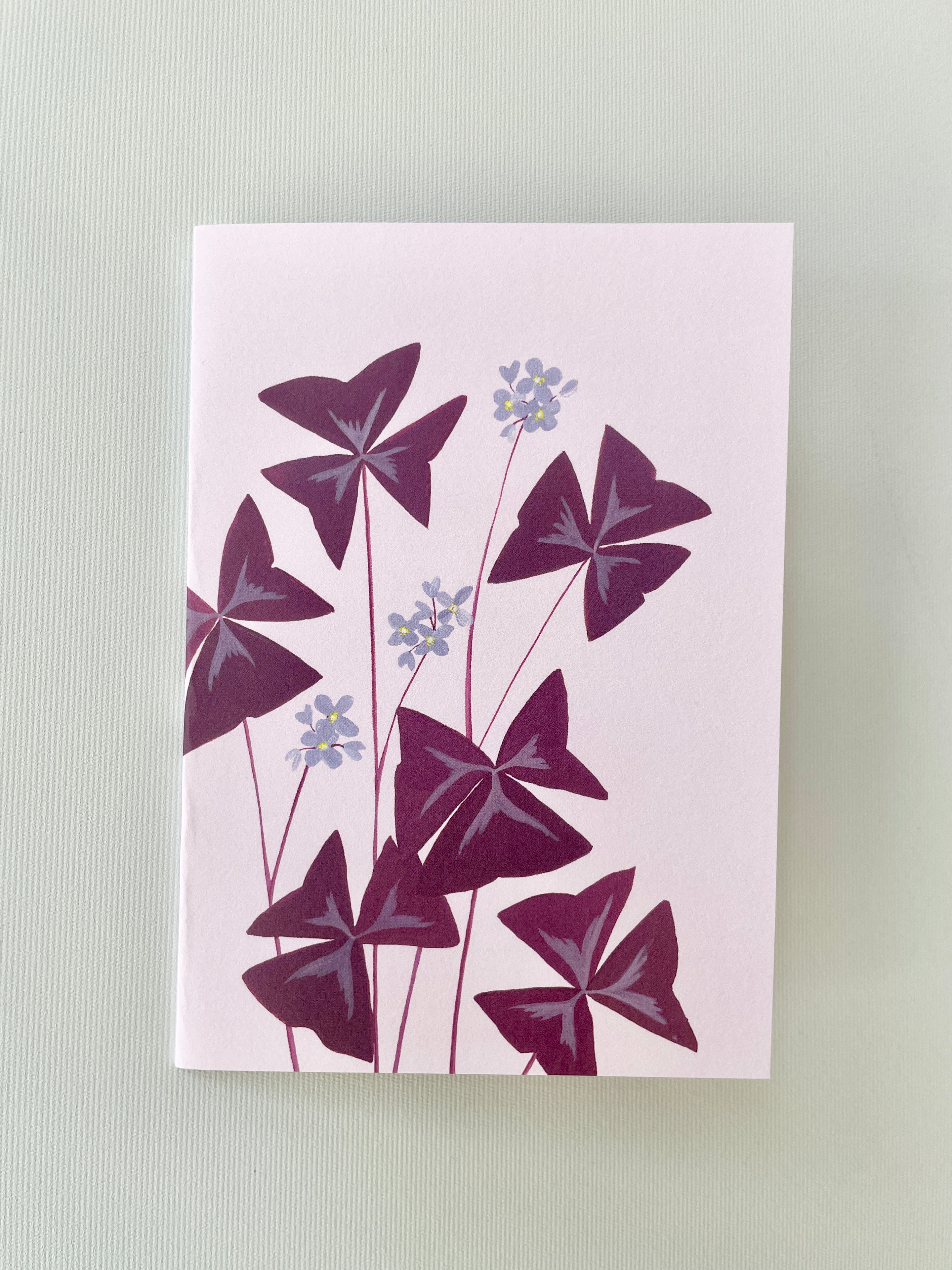 Oxalis greeting card by Stengun drawings at Sprout Home.