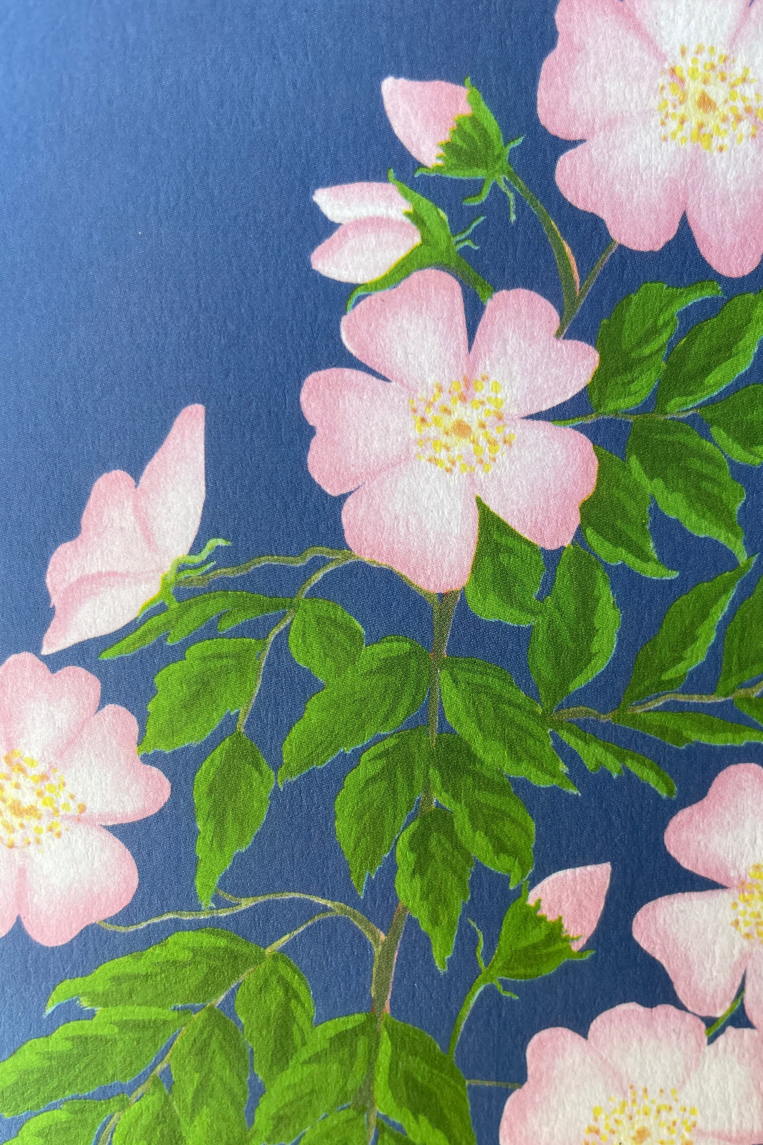 Detail image of the Dog Rose card by Stengun at Sprout Home with the delicate pink flowers and green leaves.