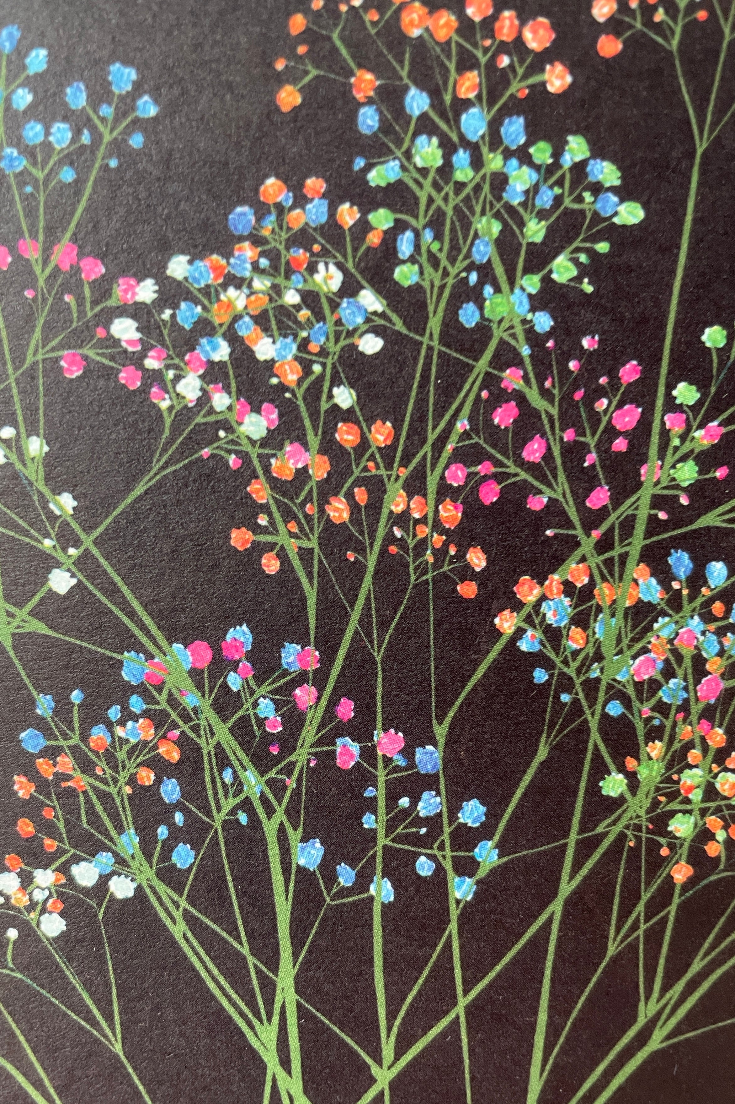 Detail of the STengun Rainbow Gypsophila greeting card at Sprout Home.