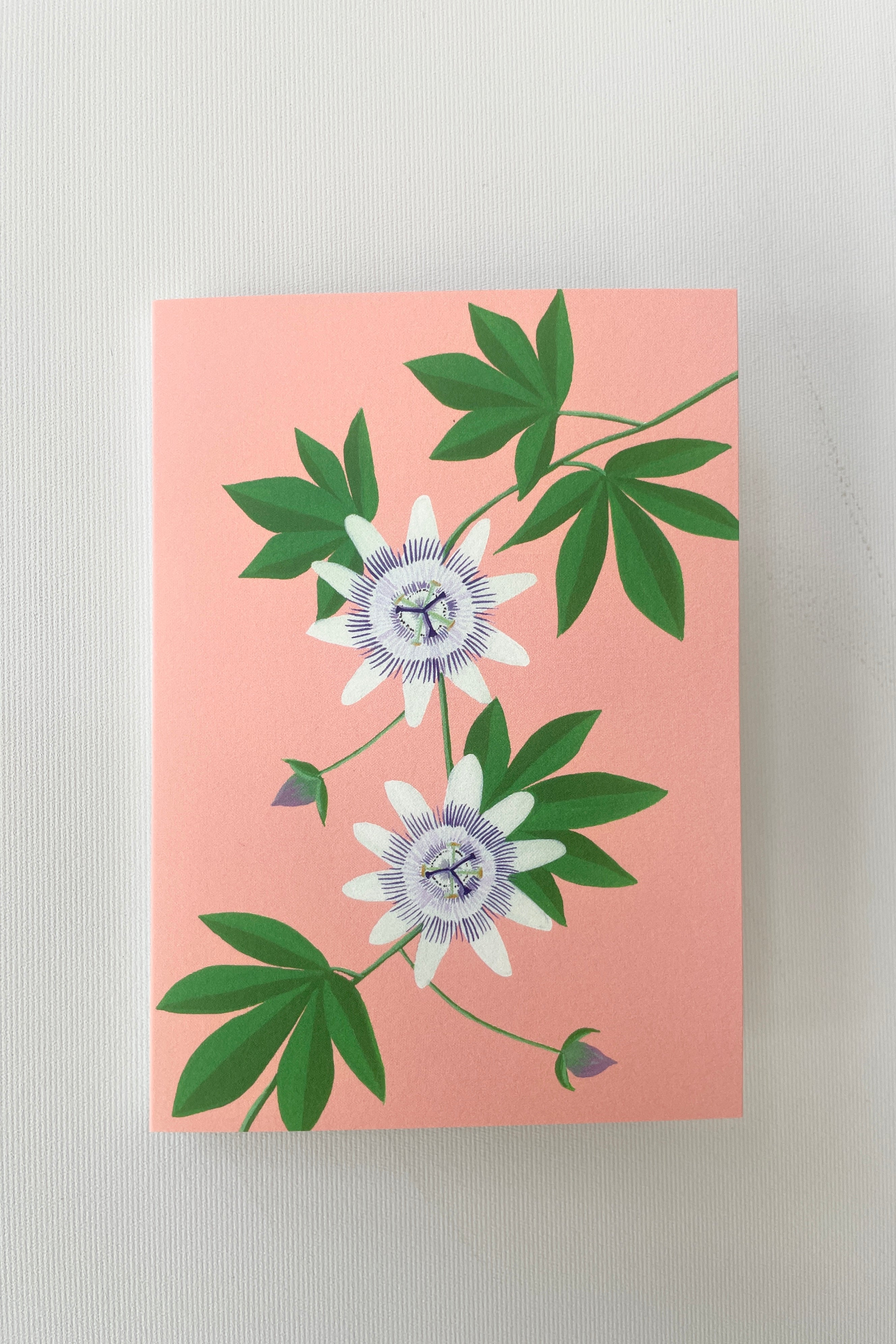 Passion Flower Greeting Card by Stengun at Sprout Home showing the front of the card on a white wall.