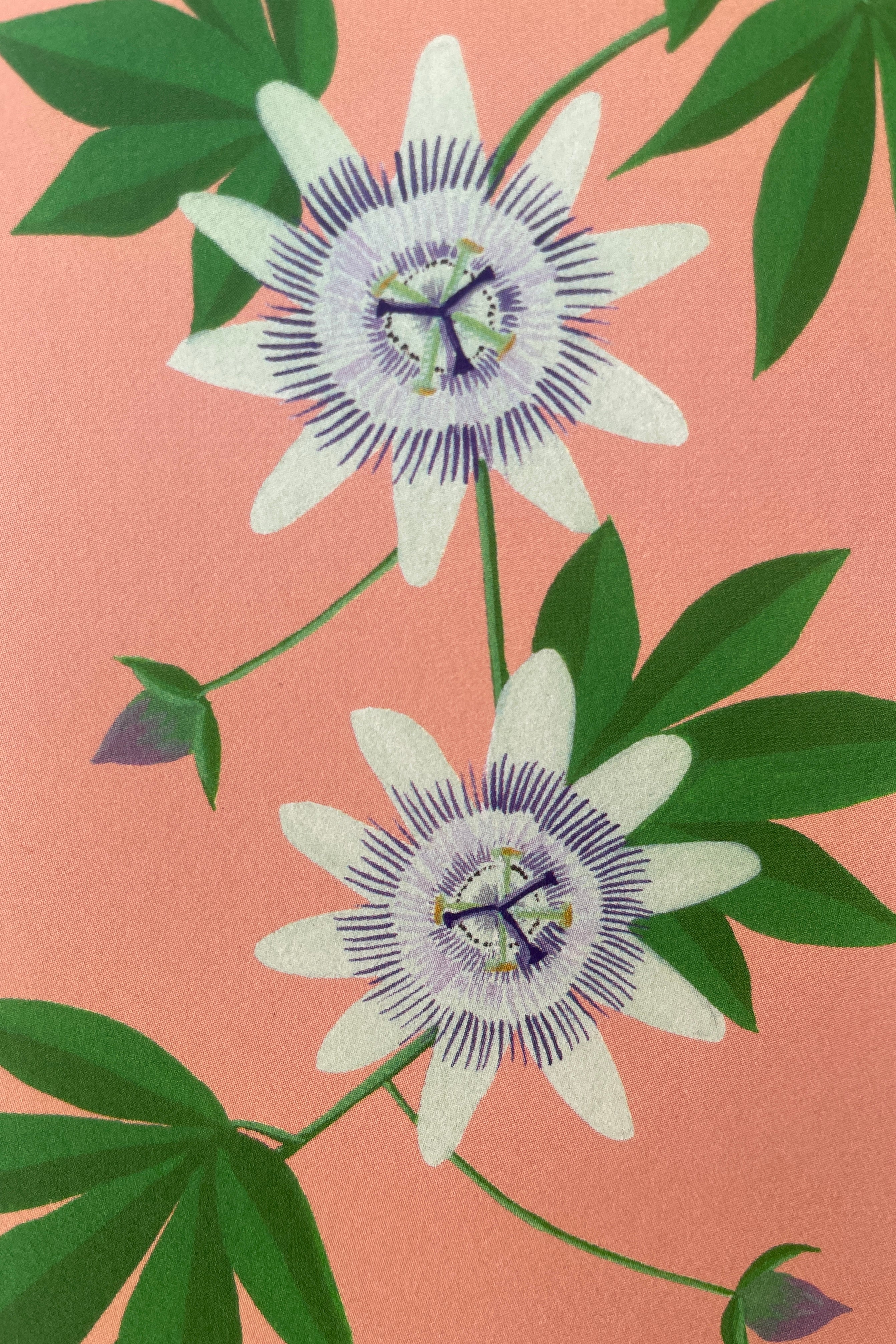 Detail of the white and purple passion flowers with green leaves and a pink background on the Stengun Passion Flower card.