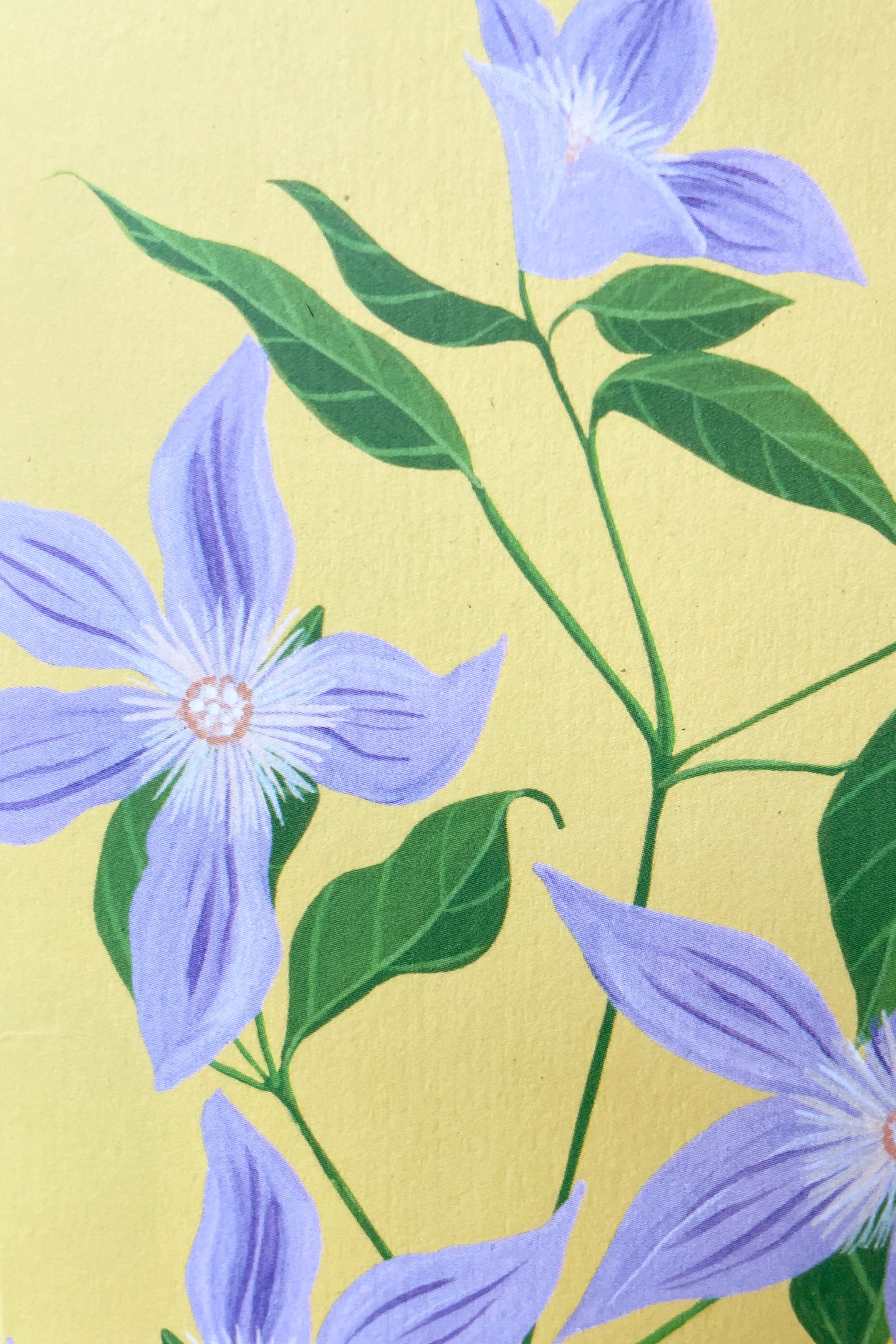 Detail image of the sweet clematis card by Stengun showing the purple flowers with green stems.
