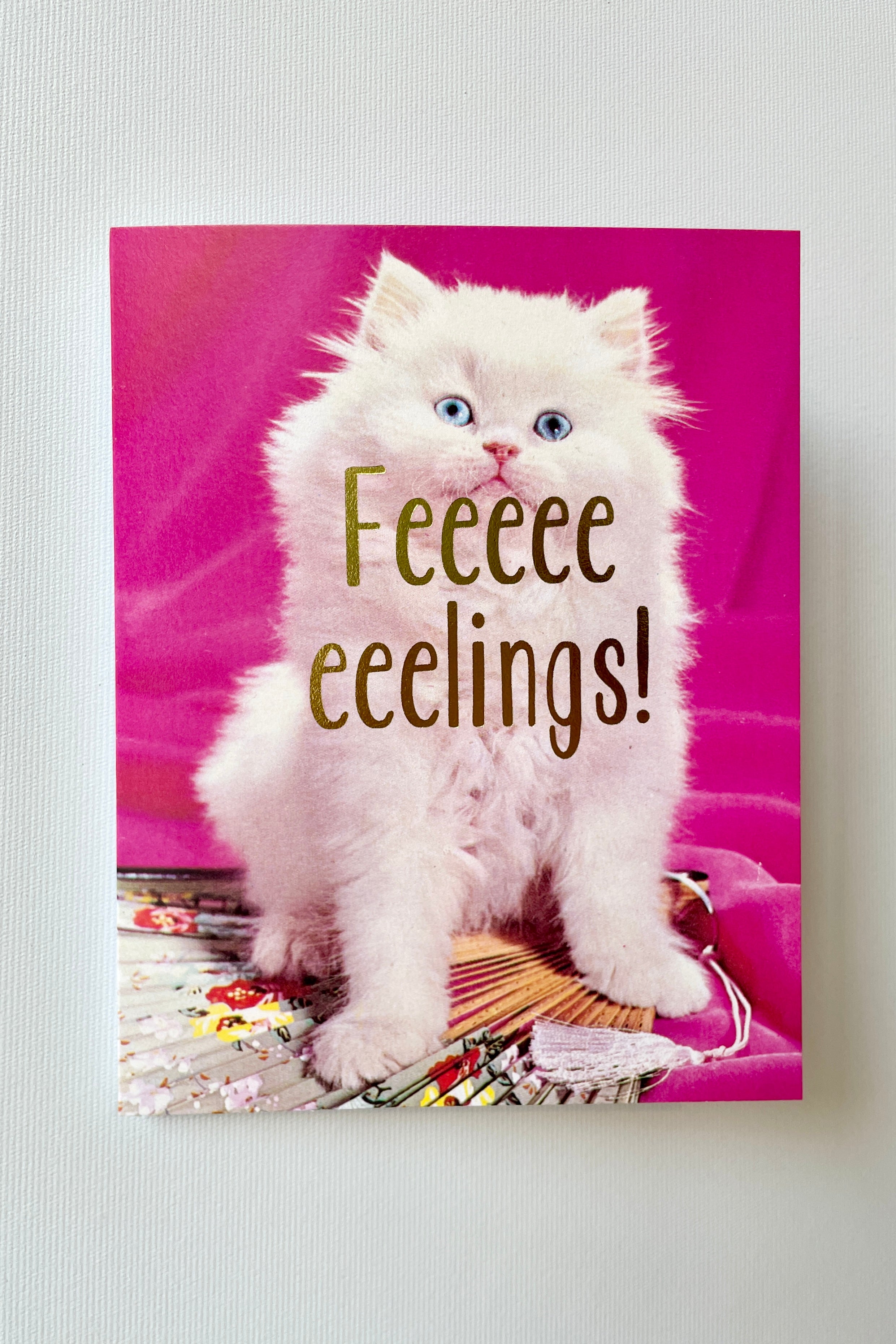 The Feeeeeeelings! card by Smitten kitten on a white wall.
