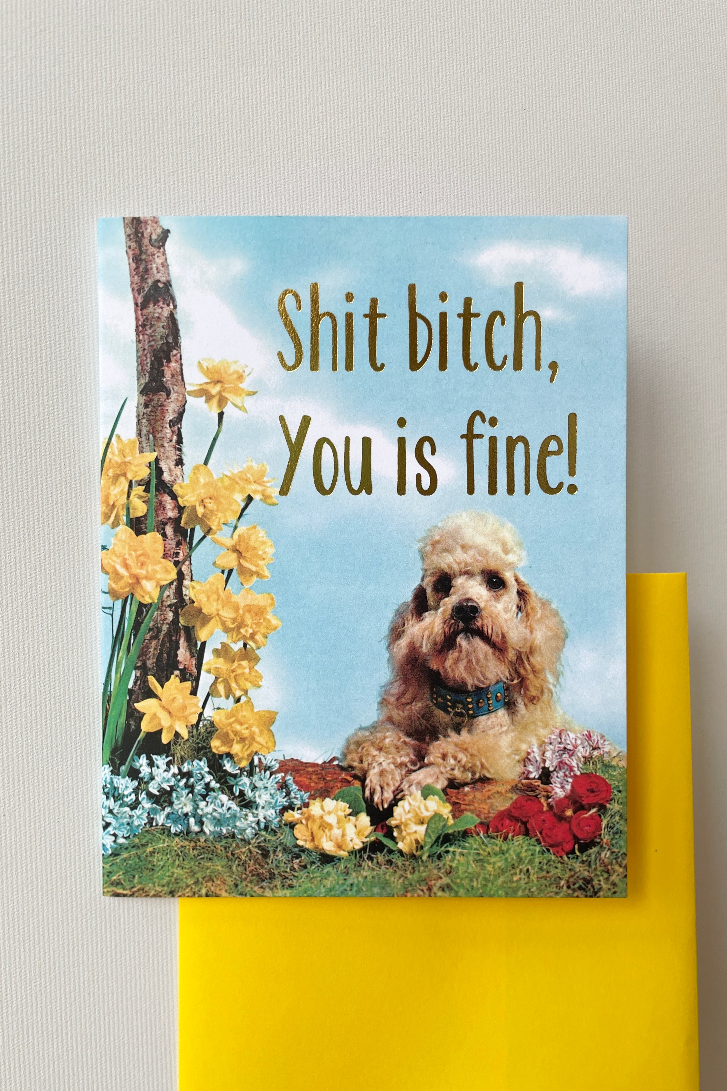 Shit bitch, you is fine! Smitten Kitten Card showing the front of the card with daffodils and a dog.
