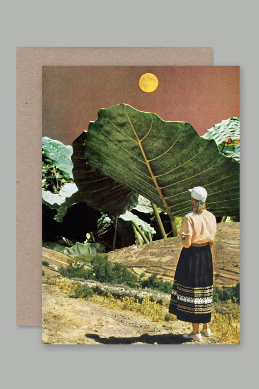 The AHD Photosynthesis card viewed from the front showing the large alocasia leaf with a woman staring at it.